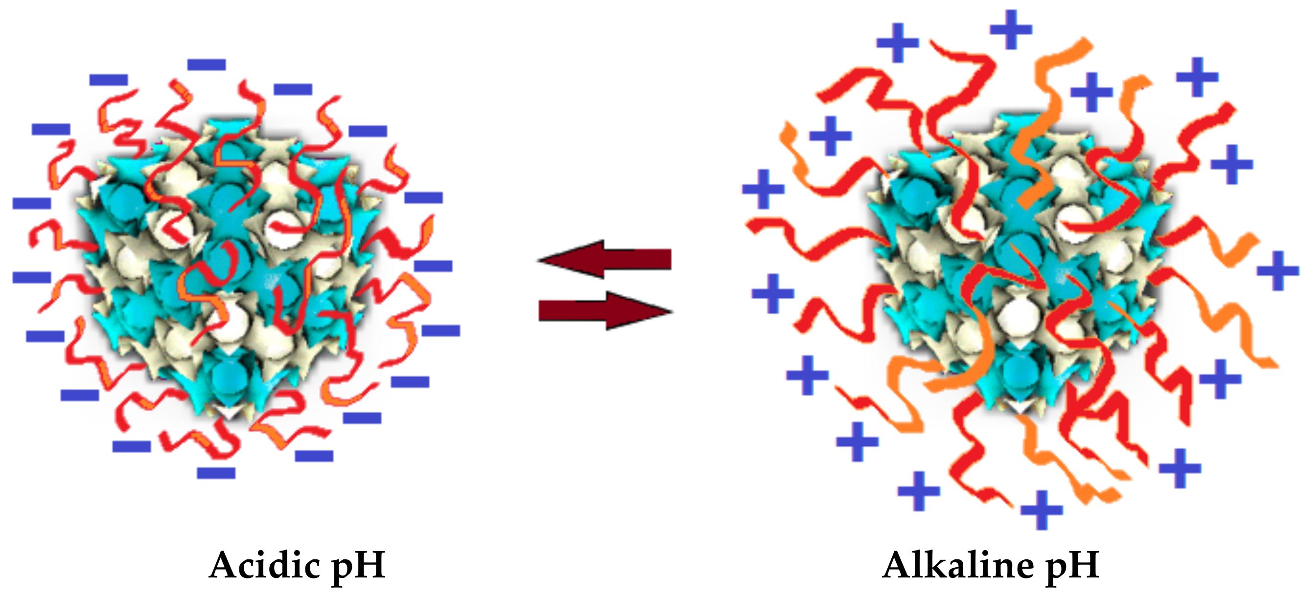 Nanomaterials 10 00963 g007 Nanomaterials 10 00963 g007