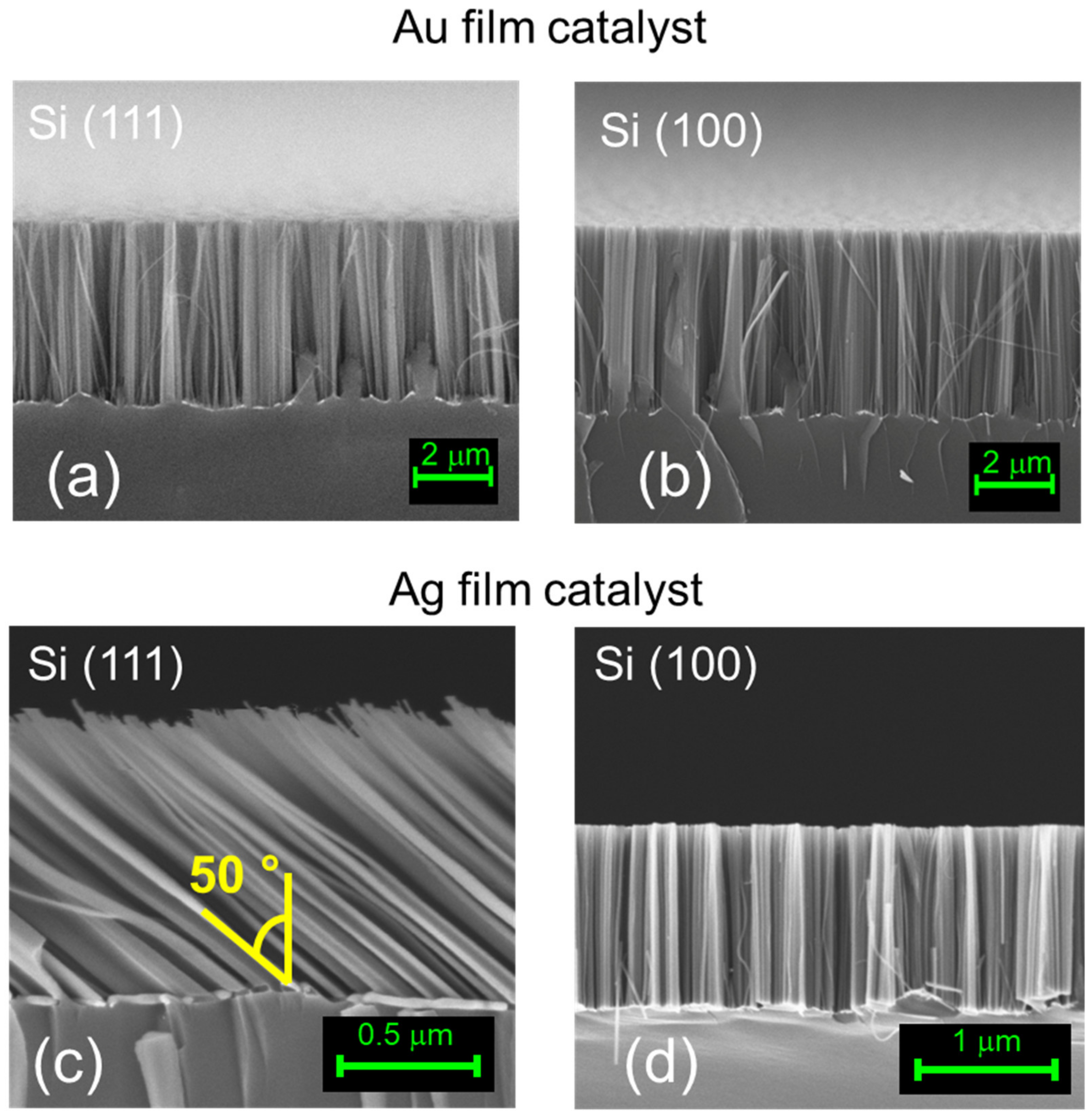 Nanomaterials 10 00966 g002