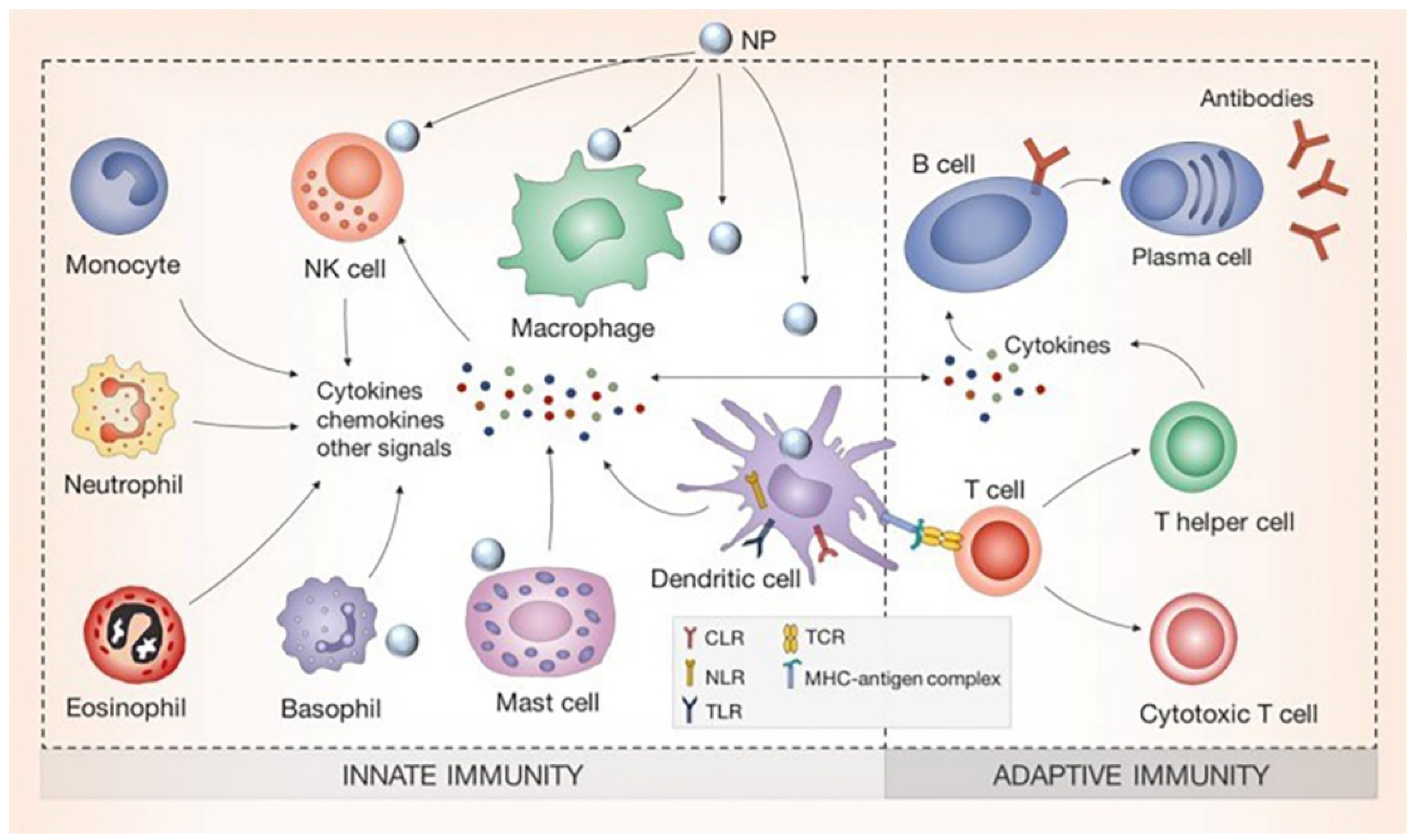 Nanomaterials 10 00967 g001 Nanomaterials 10 00967 g001