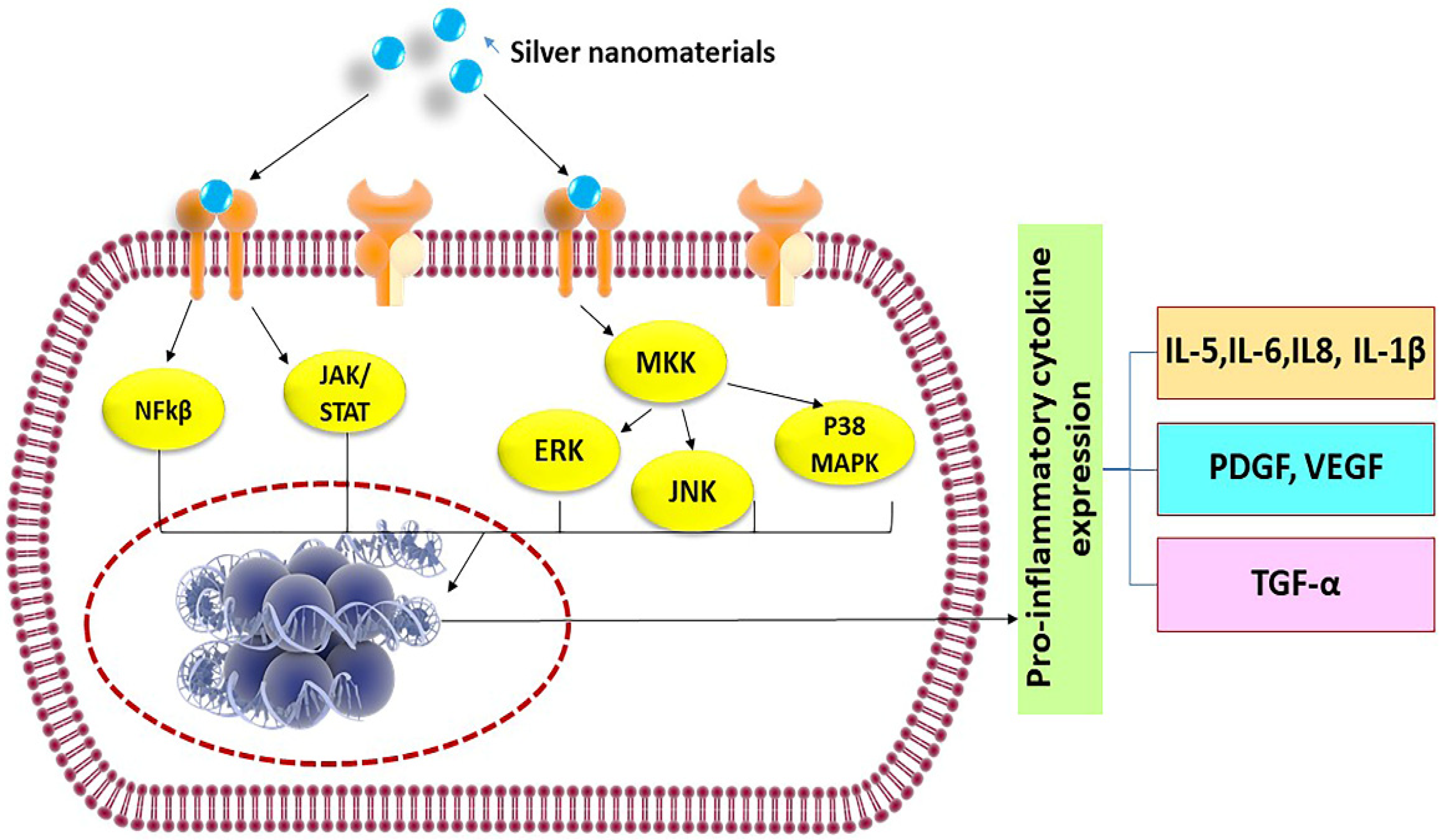 Nanomaterials 10 00967 g003 Nanomaterials 10 00967 g003
