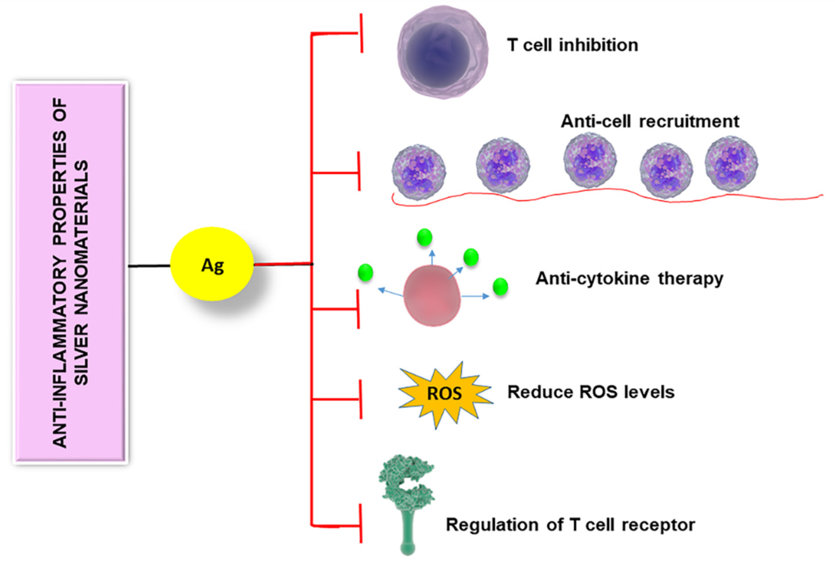 Nanomaterials 10 00967 g004 Nanomaterials 10 00967 g004