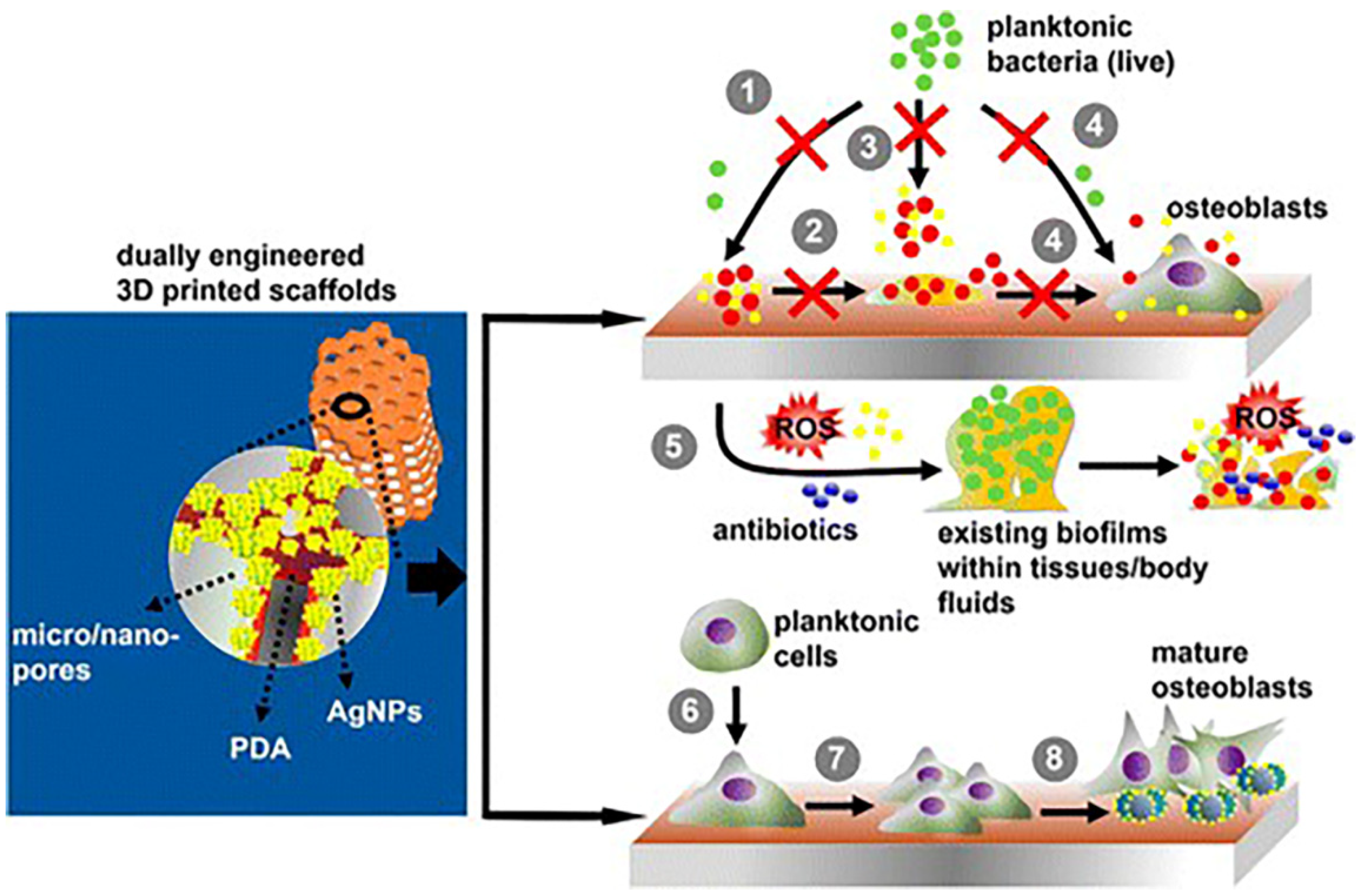 Nanomaterials 10 00967 g005 Nanomaterials 10 00967 g005