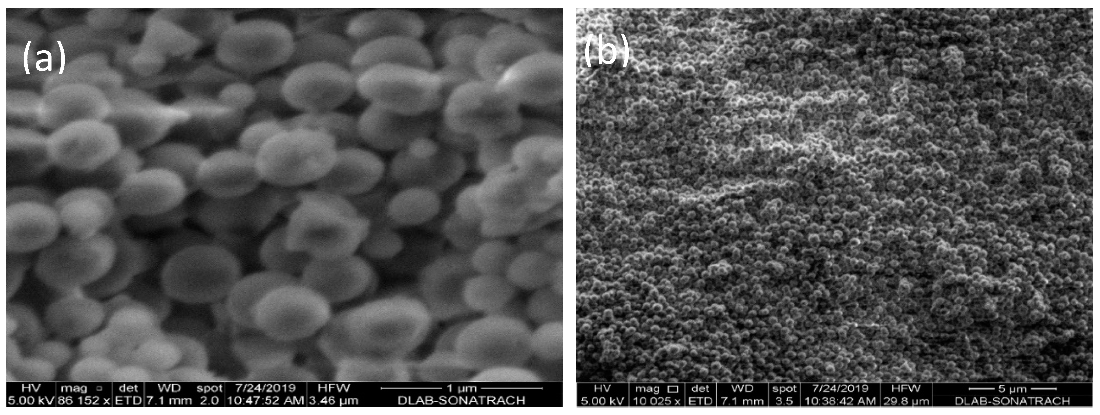 Nanomaterials 10 00968 g004a