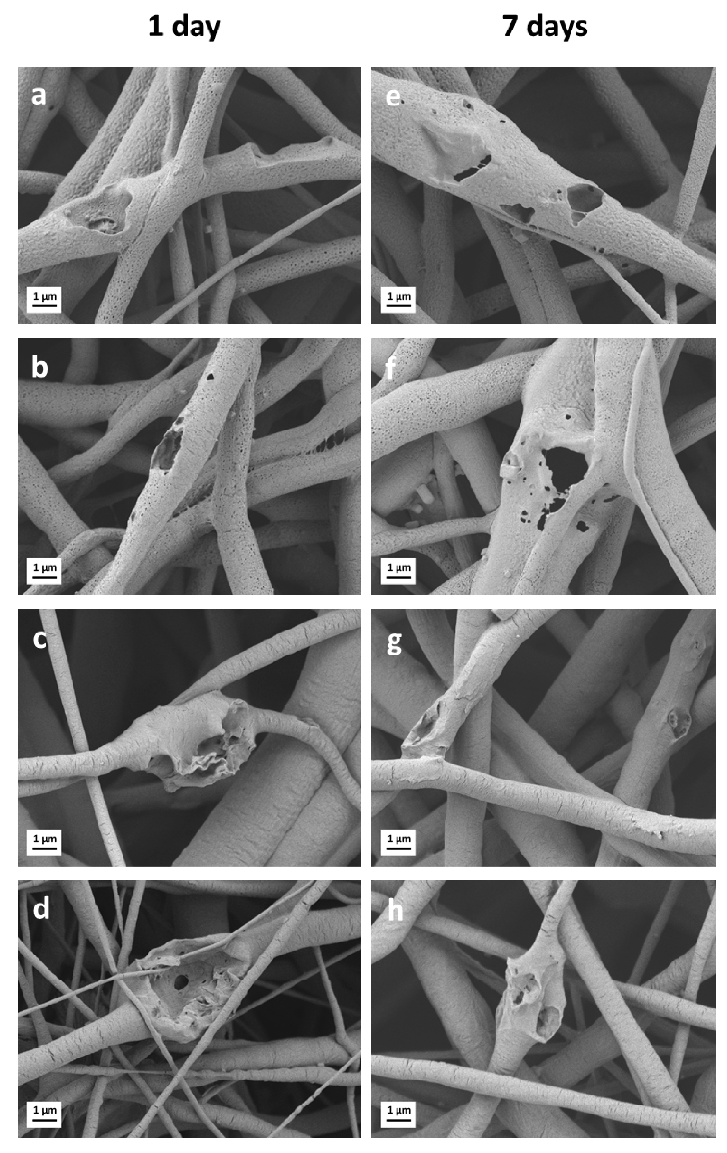 Nanomaterials 10 00978 g006 Nanomaterials 10 00978 g006