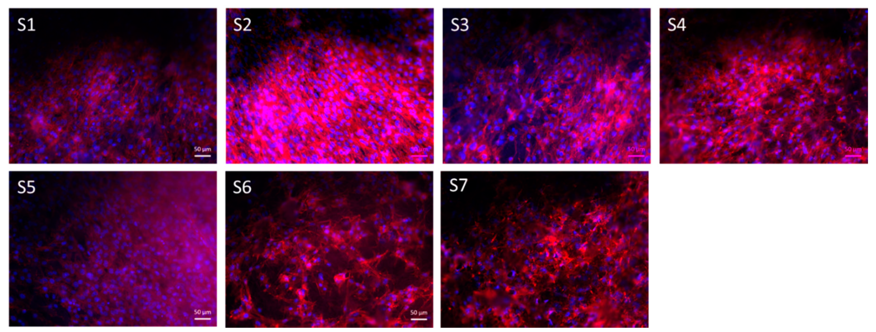 Nanomaterials 10 00978 g009 Nanomaterials 10 00978 g009