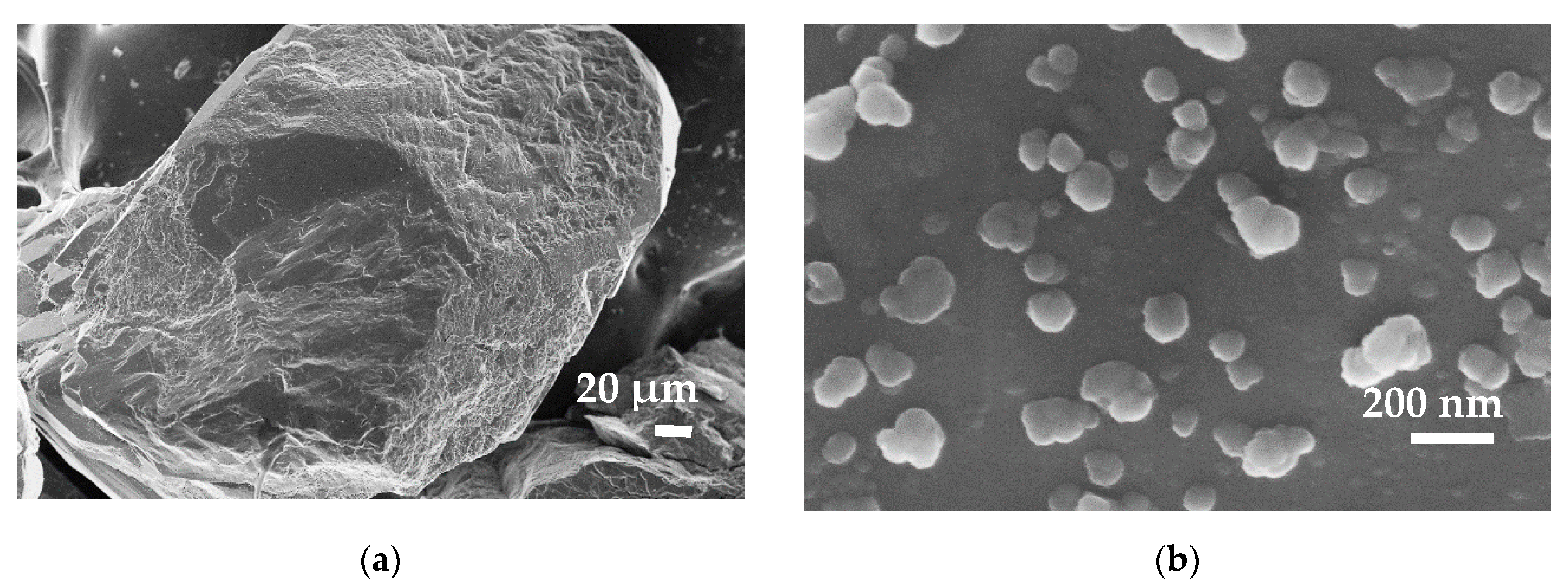 Nanomaterials 10 00980 g006 Nanomaterials 10 00980 g006