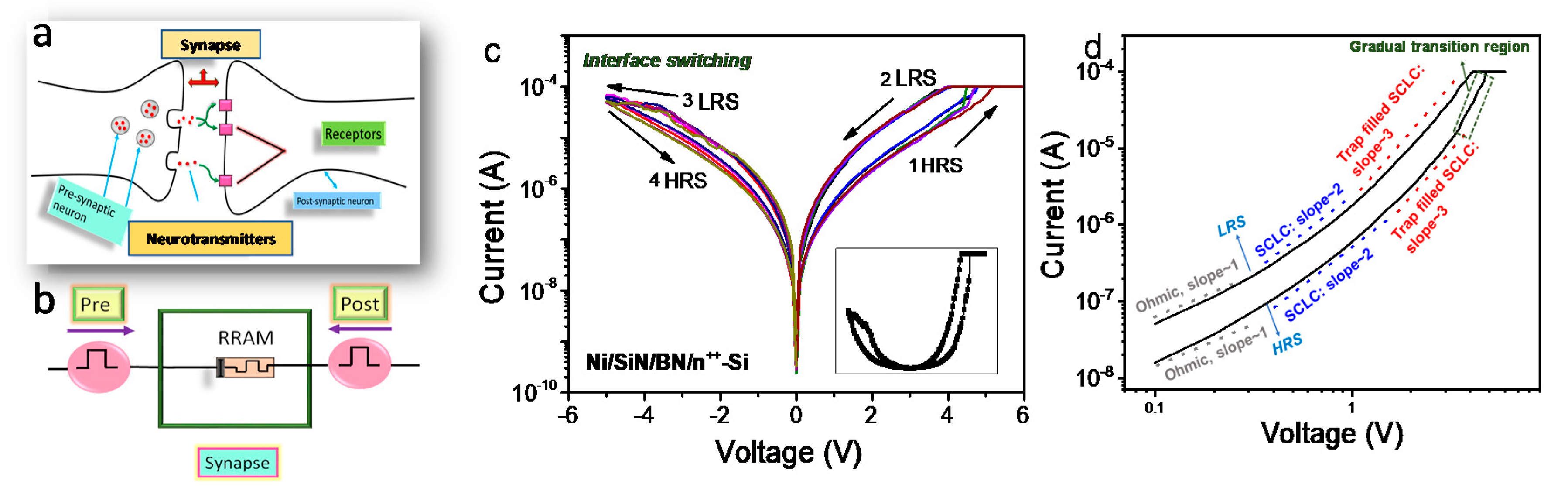 Nanomaterials 10 00994 g003