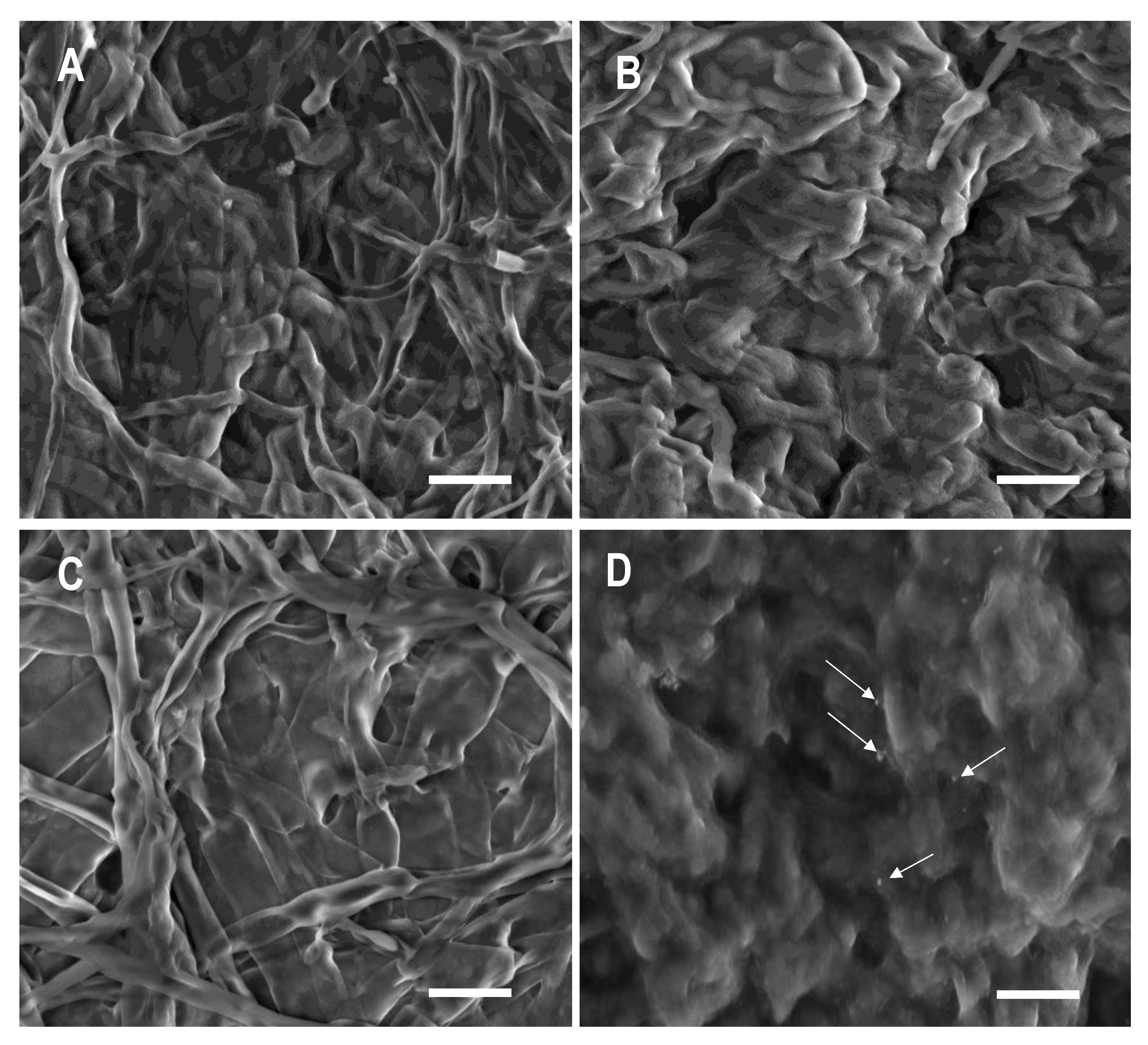 Nanomaterials 10 01003 g004 Nanomaterials 10 01003 g004