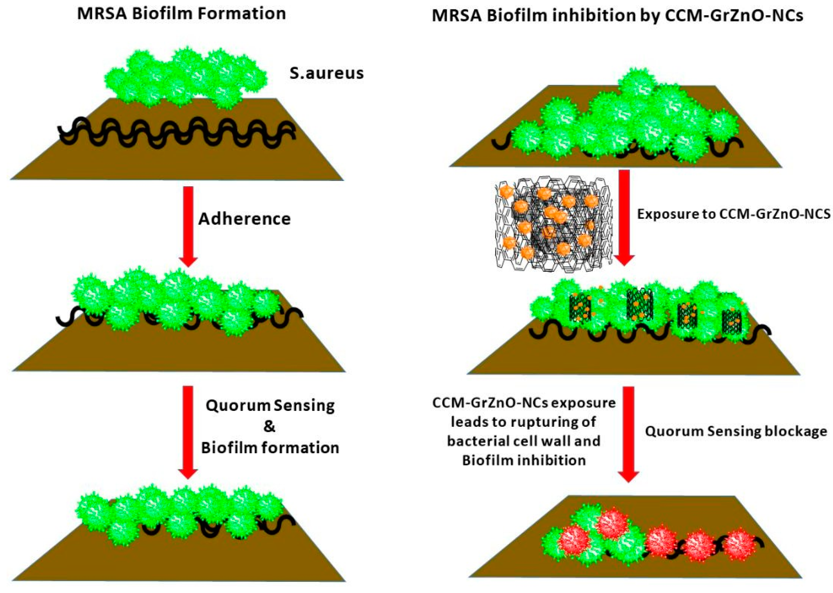 Nanomaterials 10 01004 g007 Nanomaterials 10 01004 g007