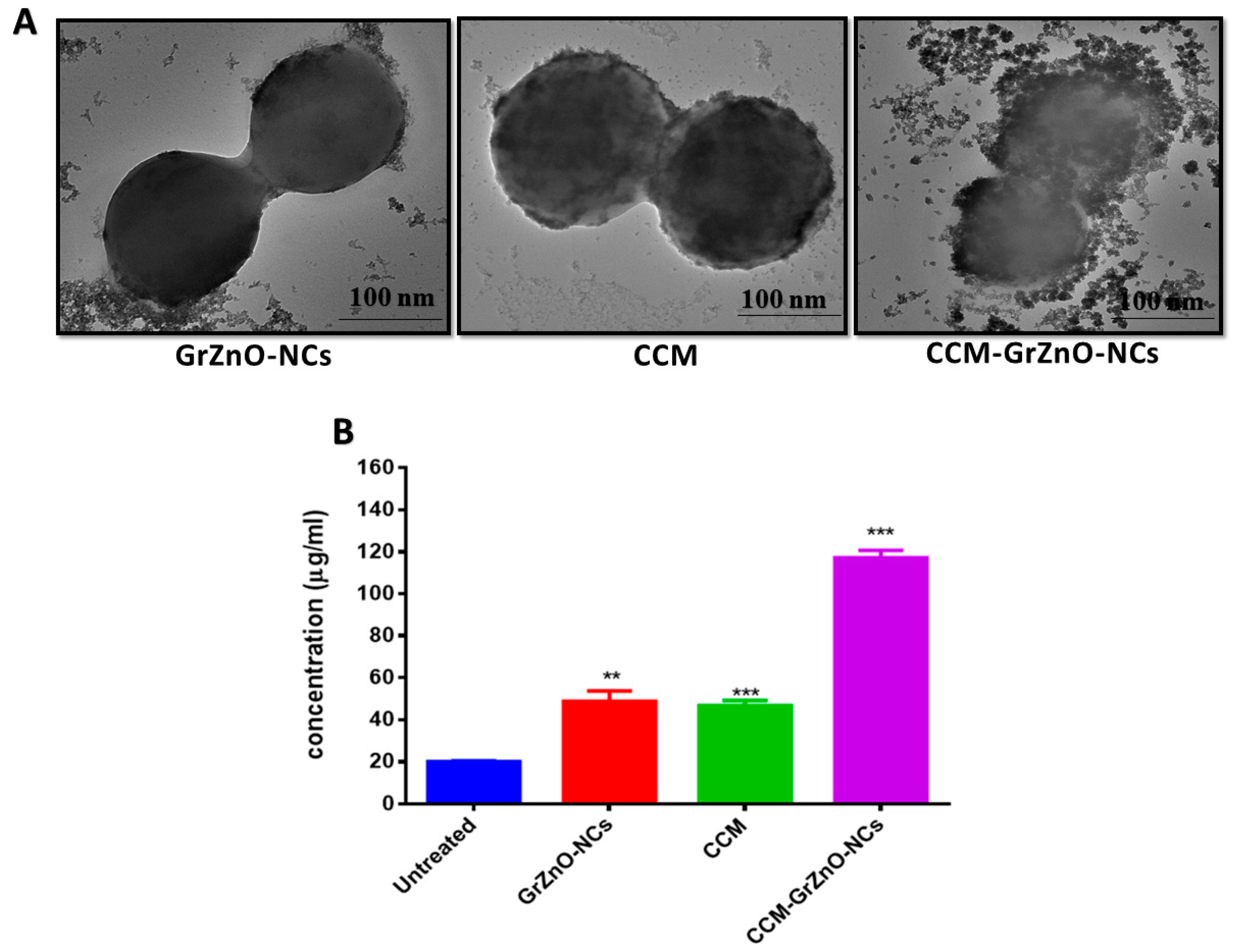 Nanomaterials 10 01004 g008 Nanomaterials 10 01004 g008