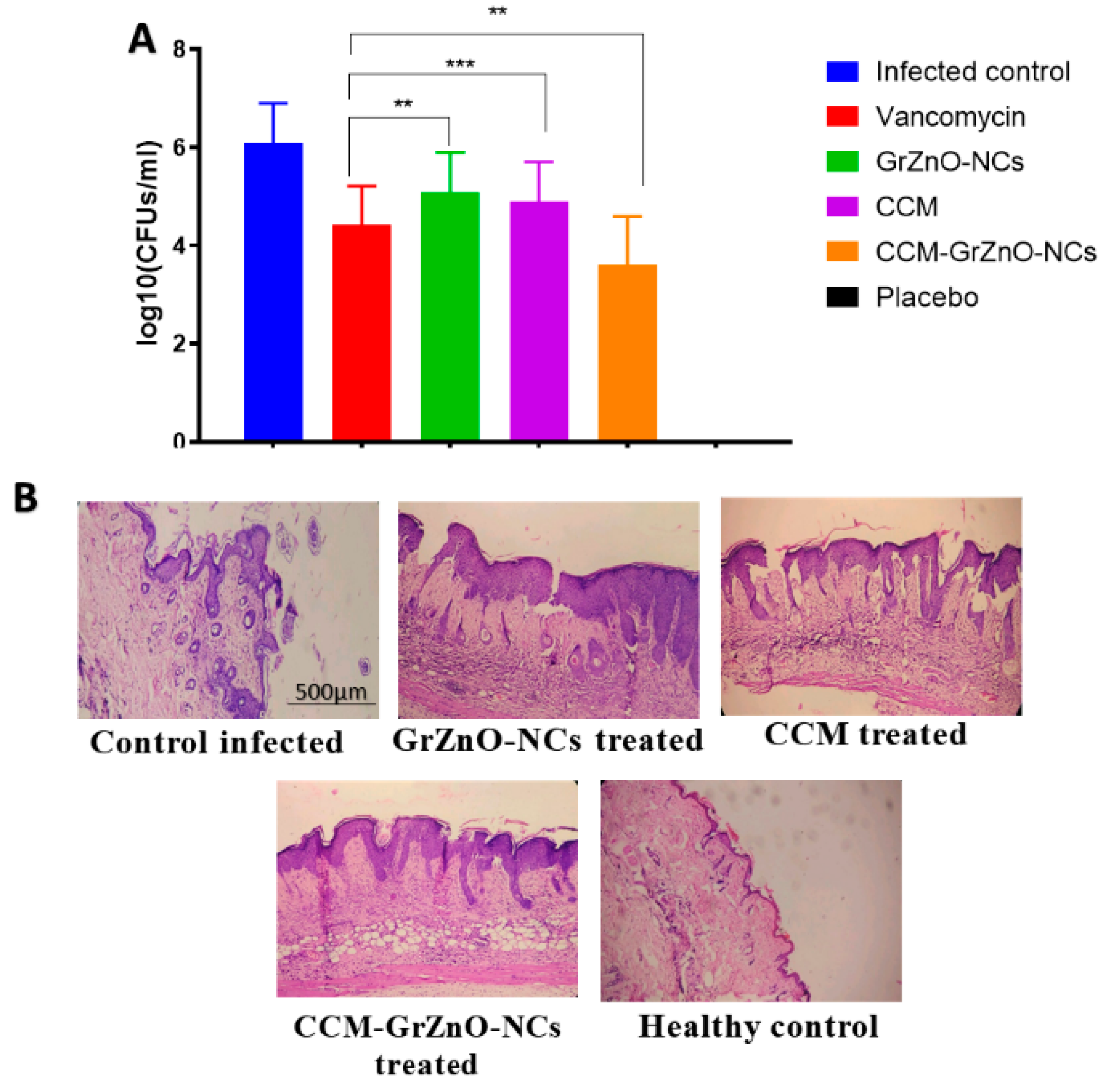 Nanomaterials 10 01004 g009 Nanomaterials 10 01004 g009