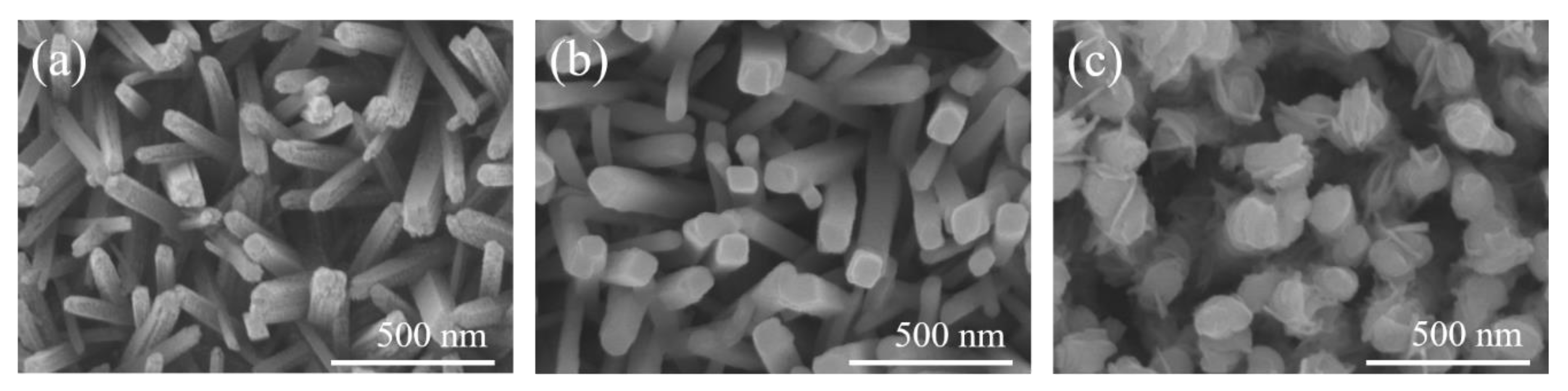 Nanomaterials 10 01005 g001