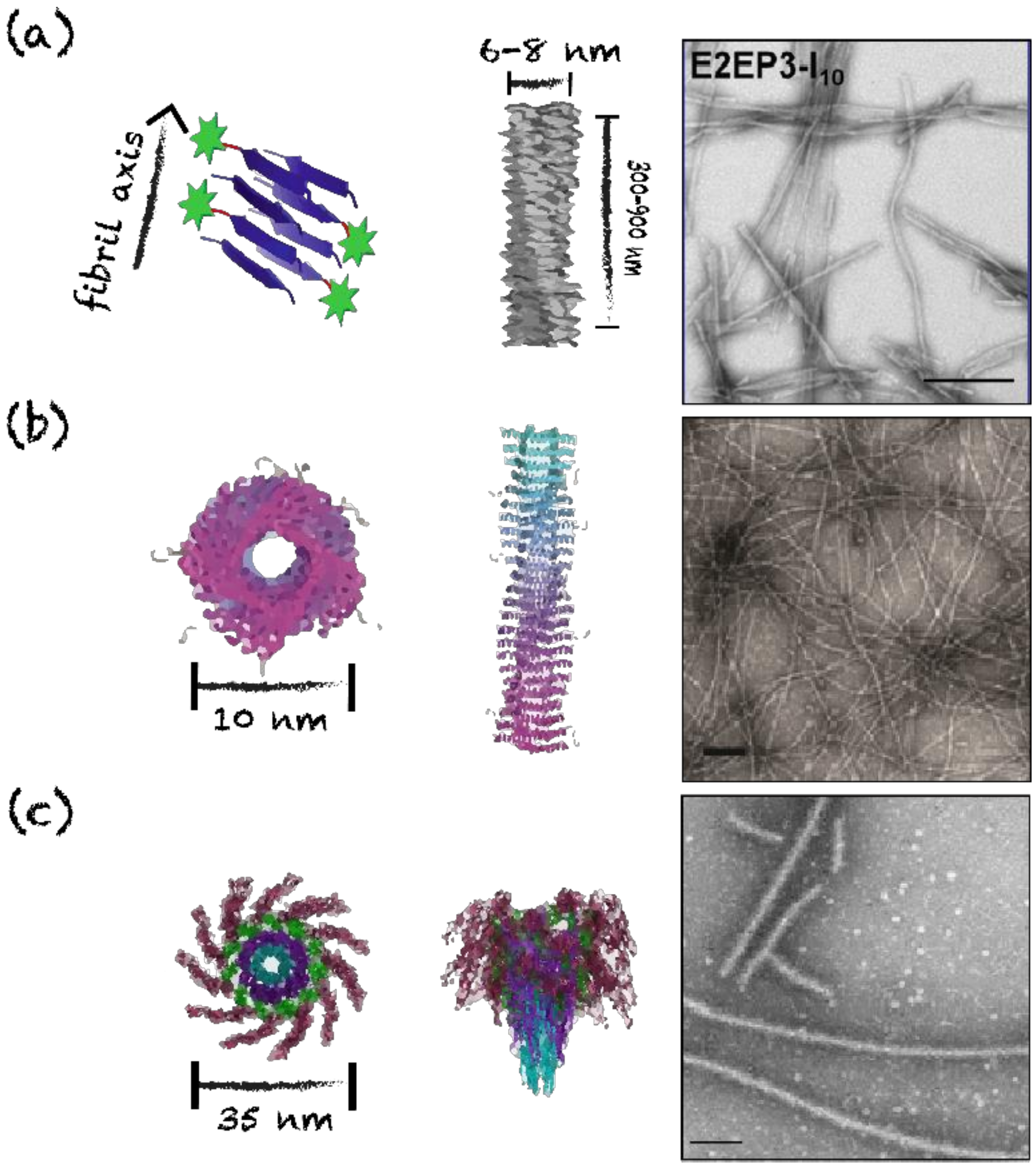 Nanomaterials 10 01008 g006