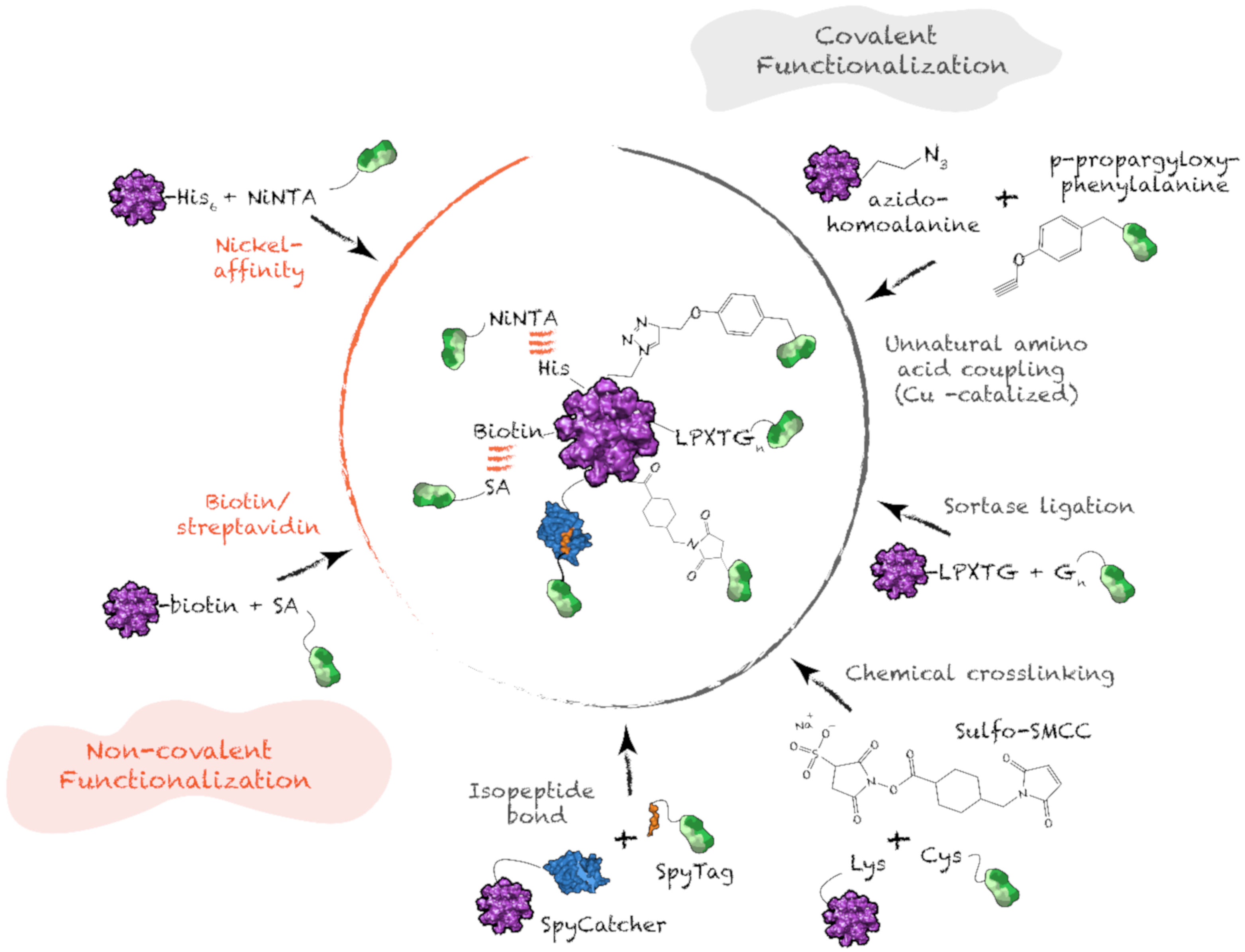 Nanomaterials 10 01008 g007