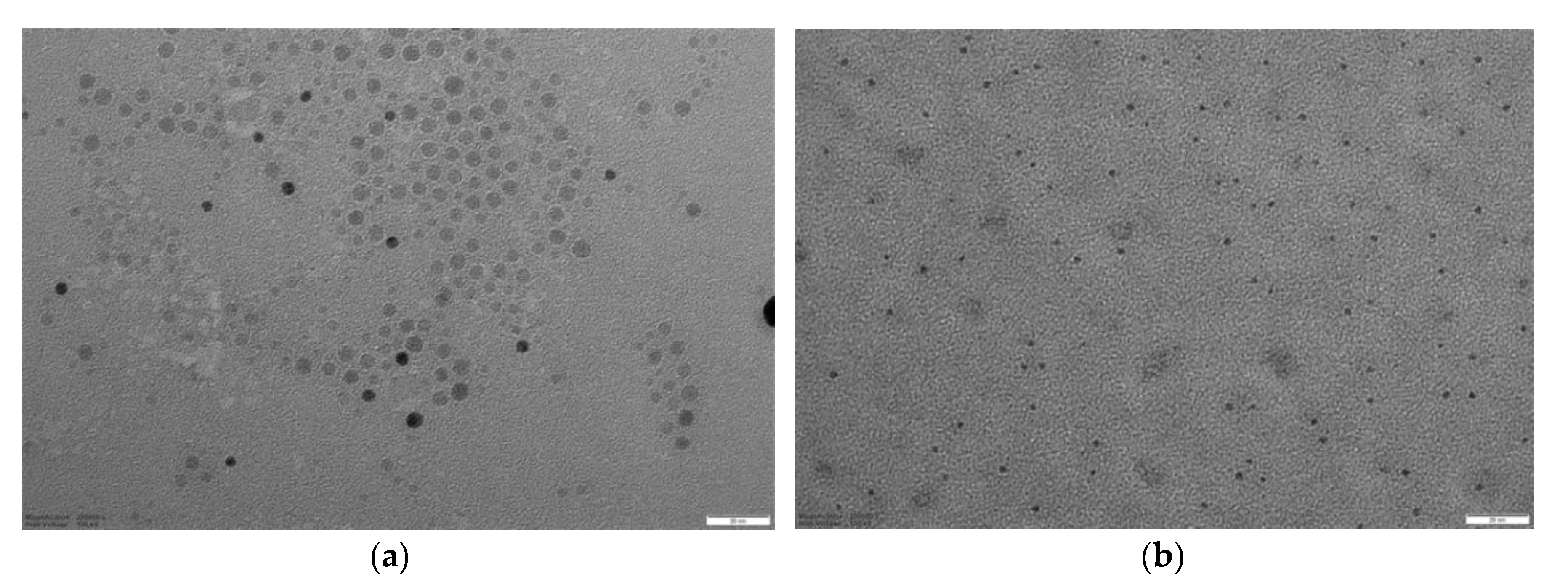 Nanomaterials 10 01011 g003a Nanomaterials 10 01011 g003a