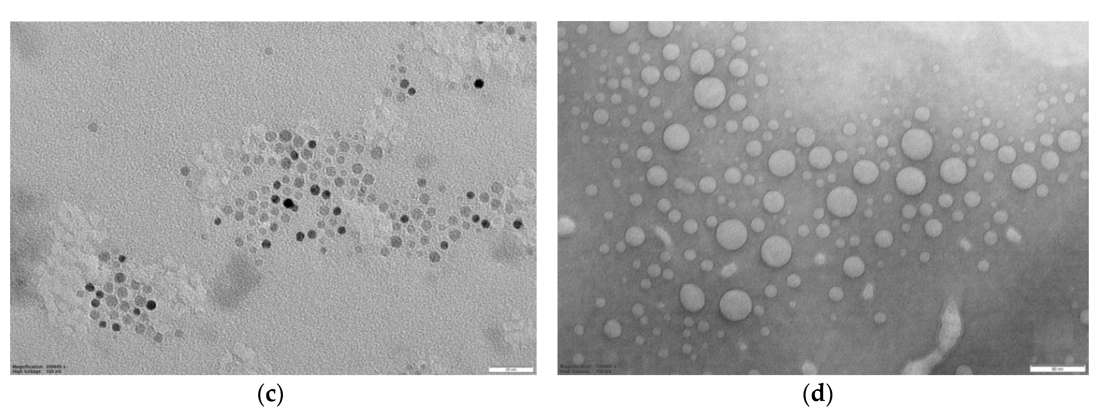 Nanomaterials 10 01011 g003b Nanomaterials 10 01011 g003b