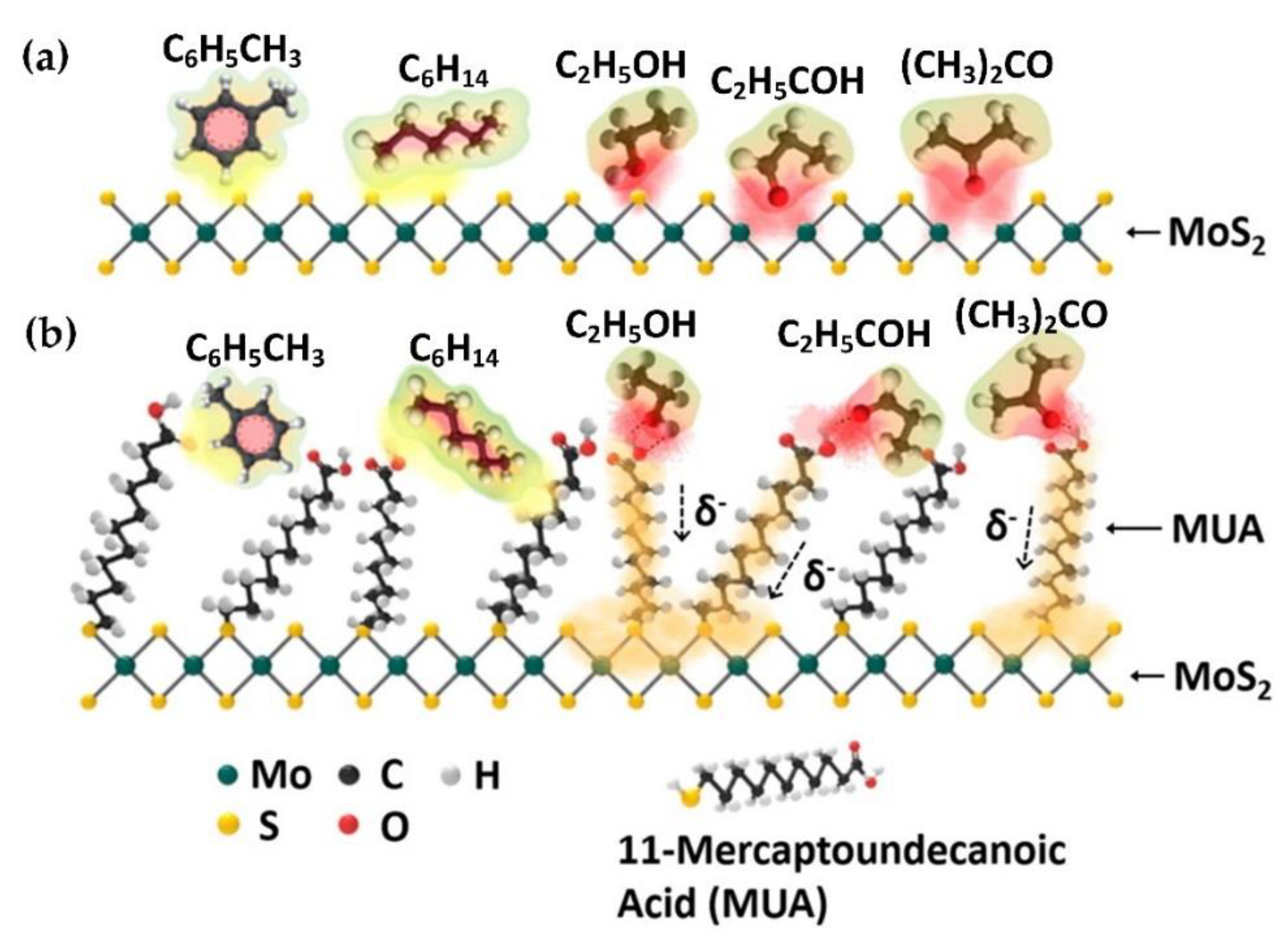 Nanomaterials 10 01012 g004 Nanomaterials 10 01012 g004