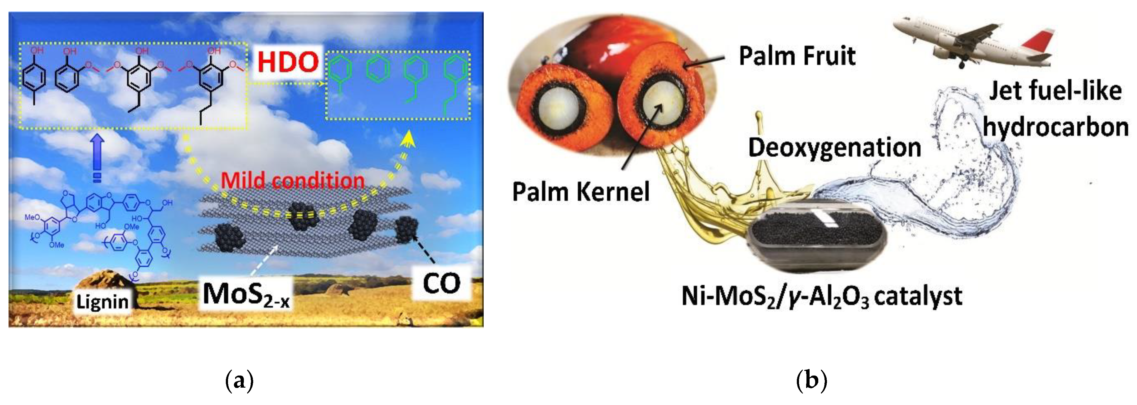 Nanomaterials 10 01012 g009 Nanomaterials 10 01012 g009