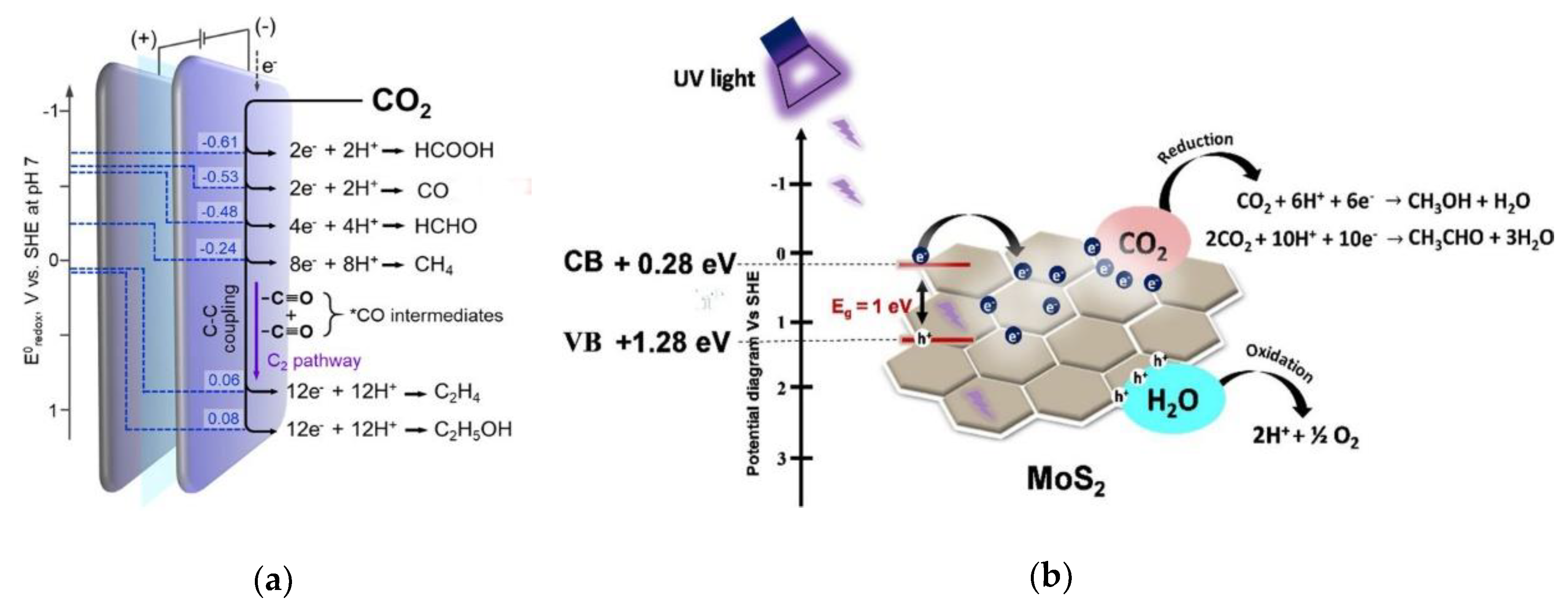 Nanomaterials 10 01012 g010 Nanomaterials 10 01012 g010