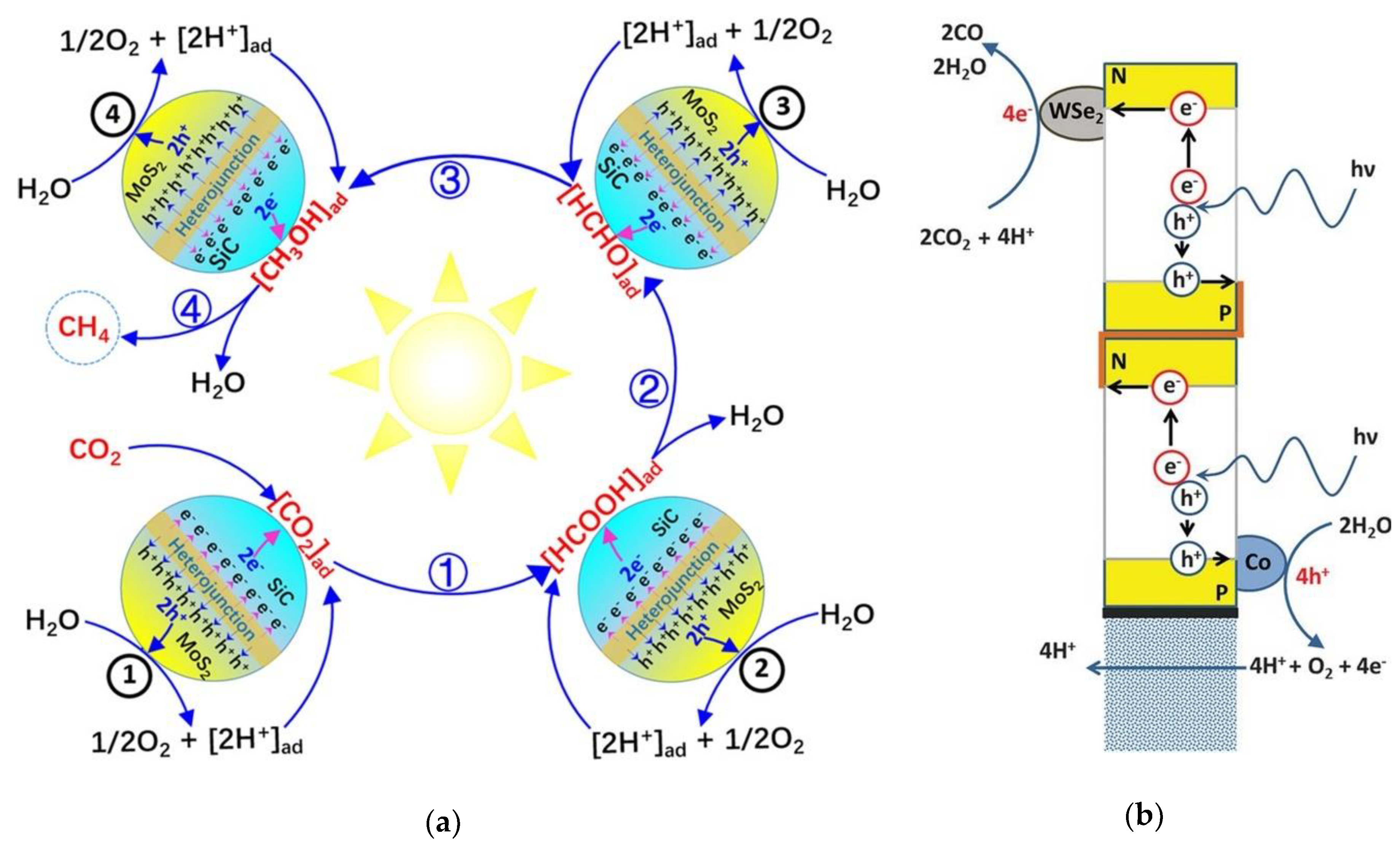 Nanomaterials 10 01012 g011 Nanomaterials 10 01012 g011