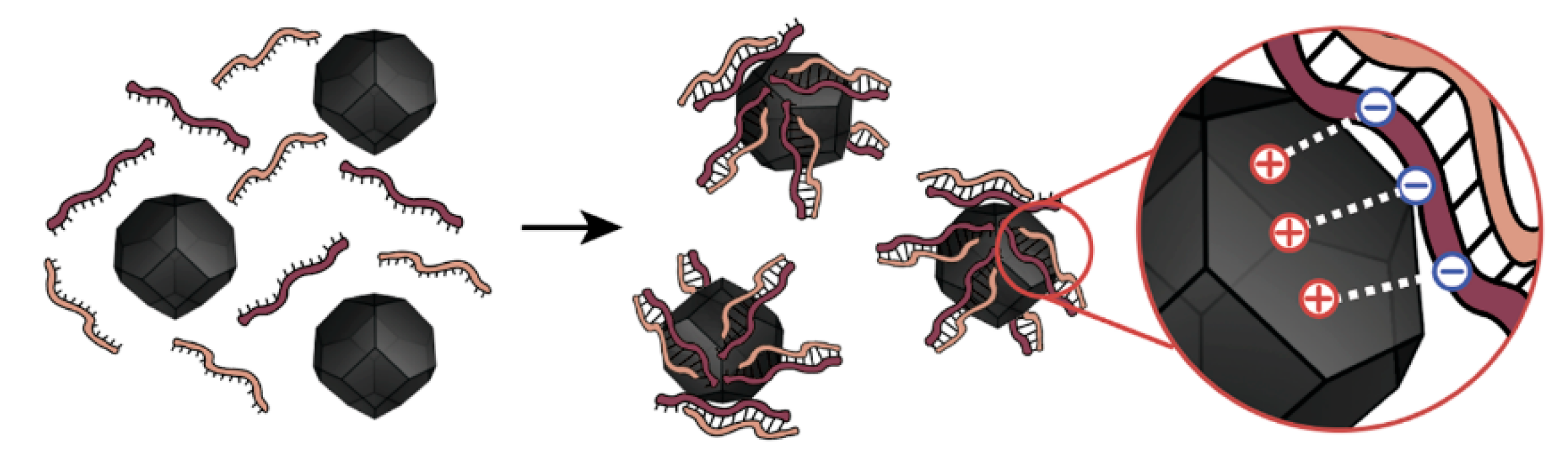Nanomaterials 10 01018 g005 Nanomaterials 10 01018 g005