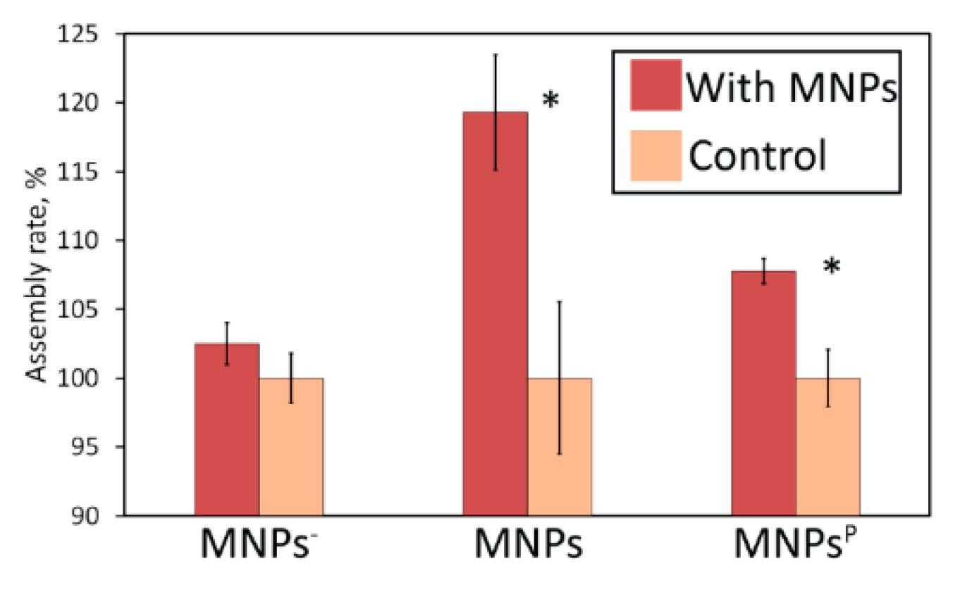 Nanomaterials 10 01018 g006 Nanomaterials 10 01018 g006