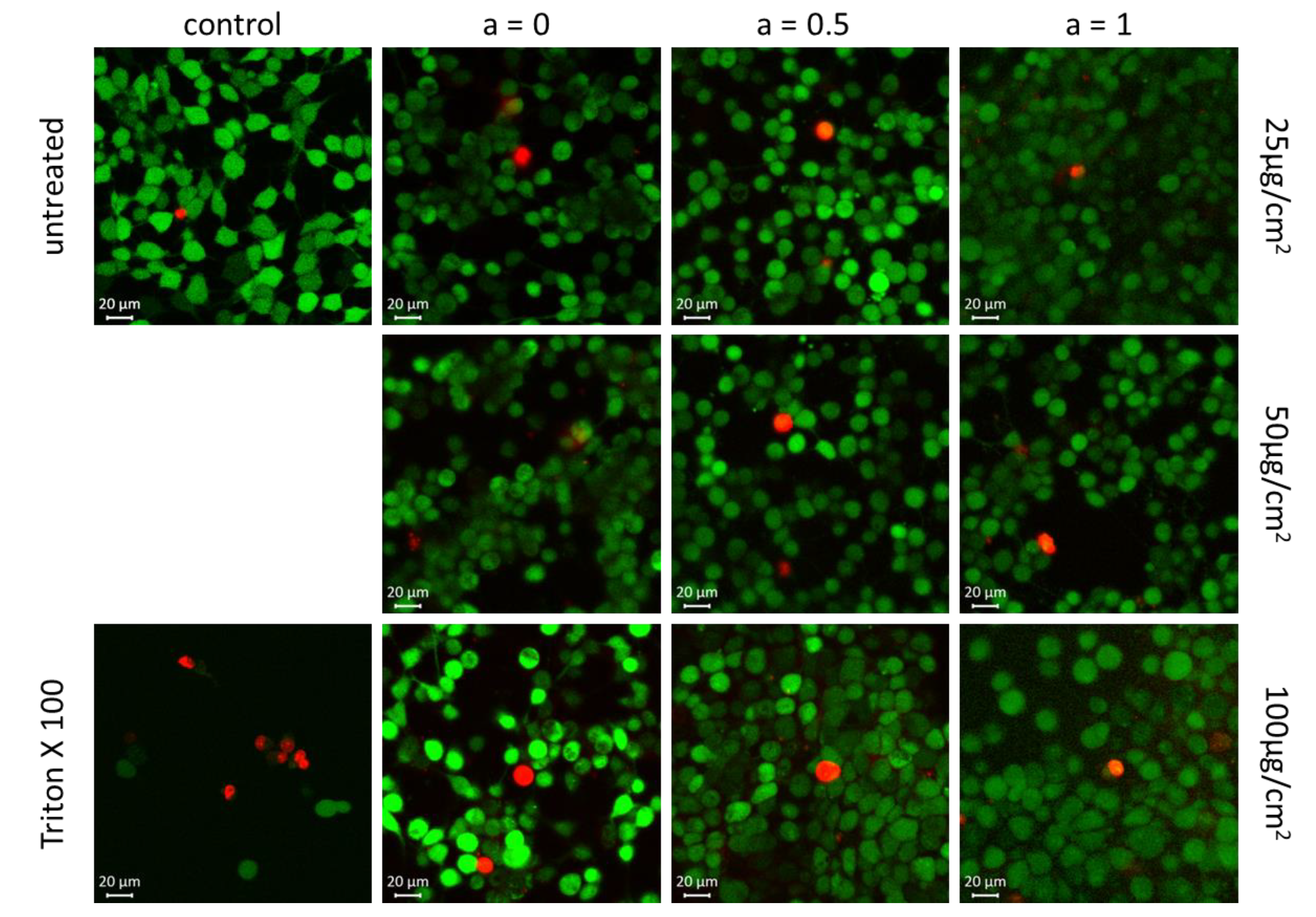 Nanomaterials 10 01019 g011 Nanomaterials 10 01019 g011