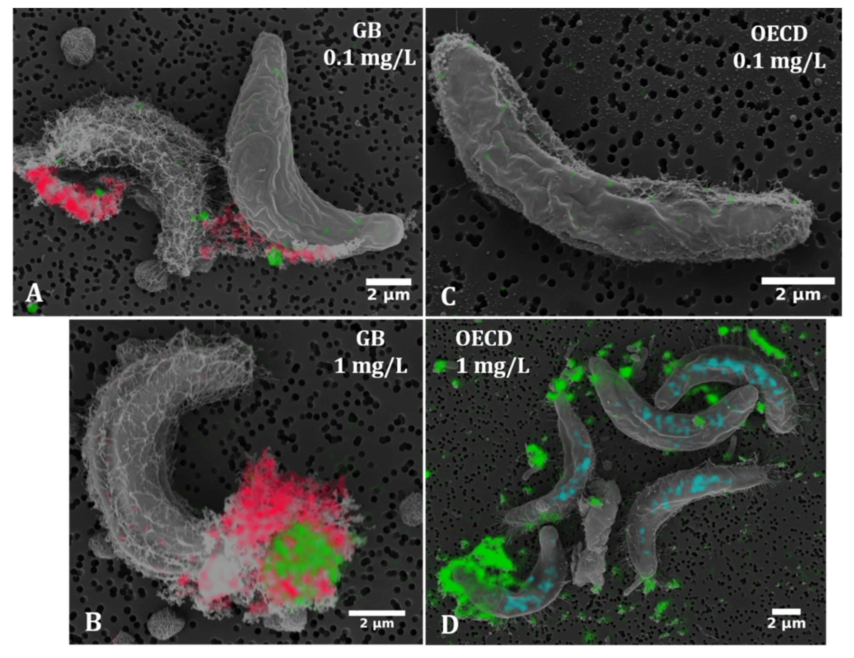 Nanomaterials 10 01021 g005 Nanomaterials 10 01021 g005