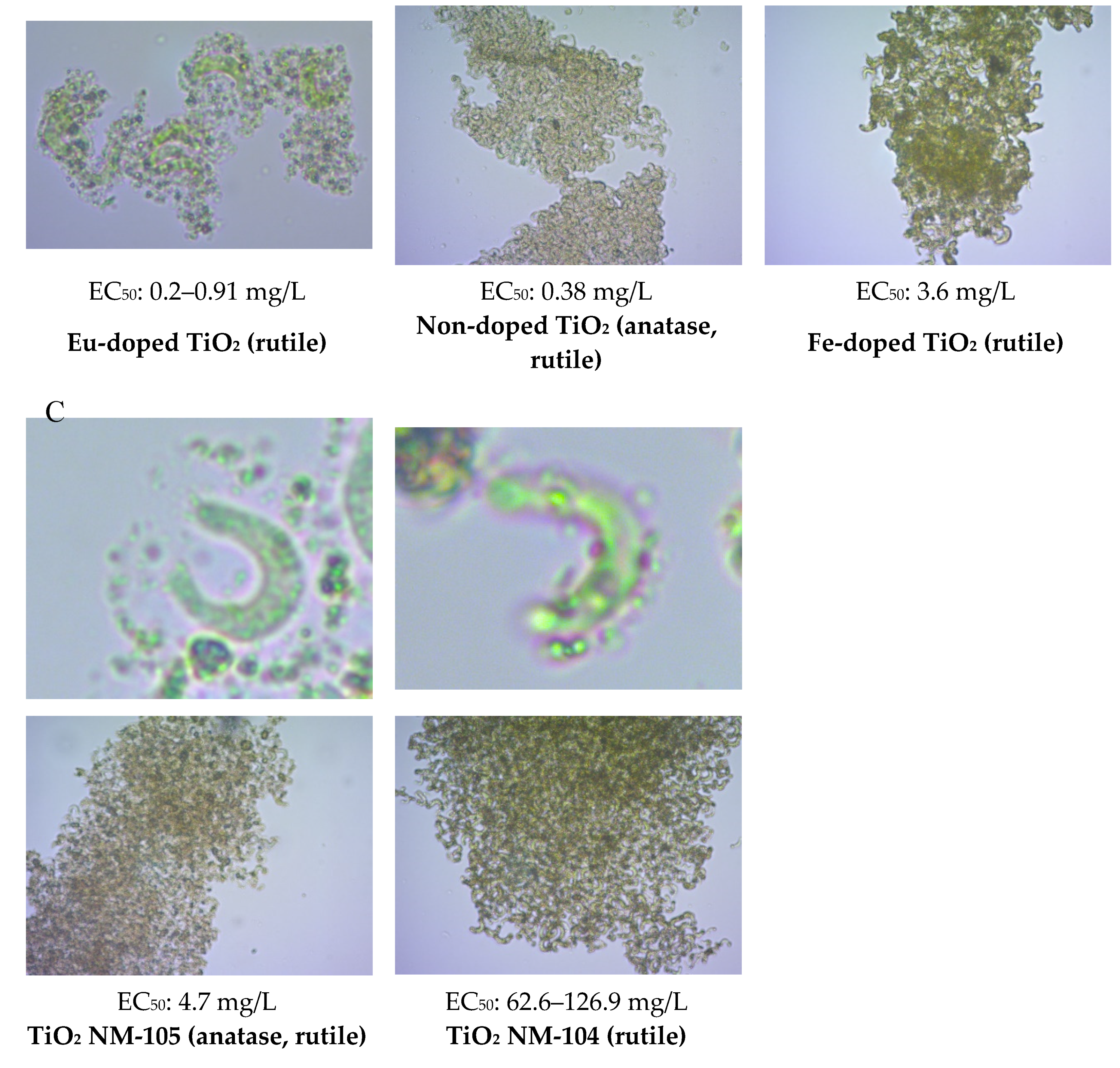 Nanomaterials 10 01021 g007b Nanomaterials 10 01021 g007b