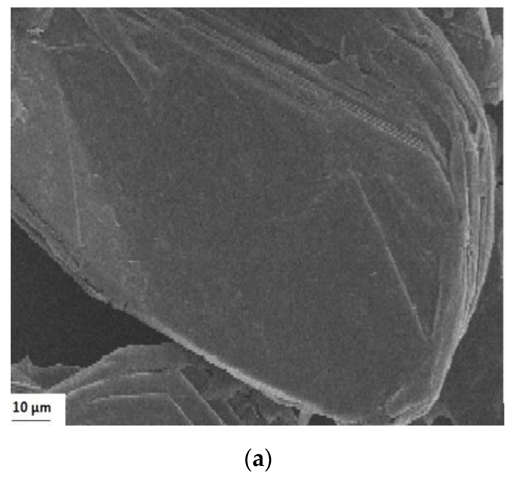 Nanomaterials 10 01022 g008a