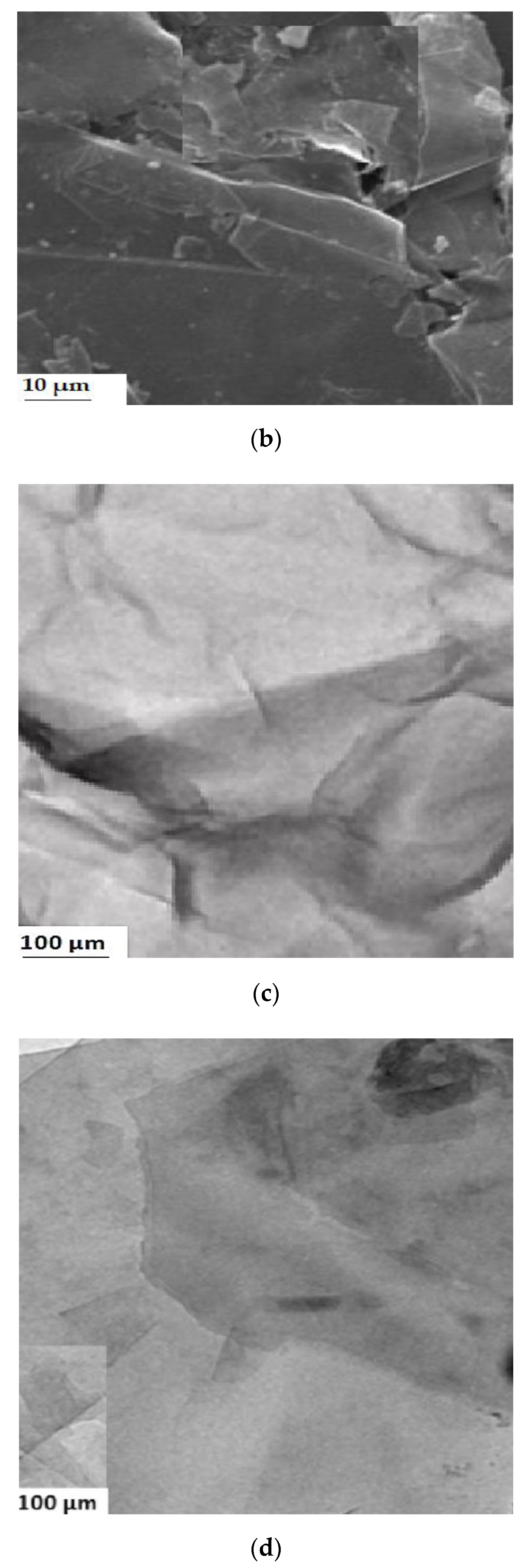 Nanomaterials 10 01022 g008b