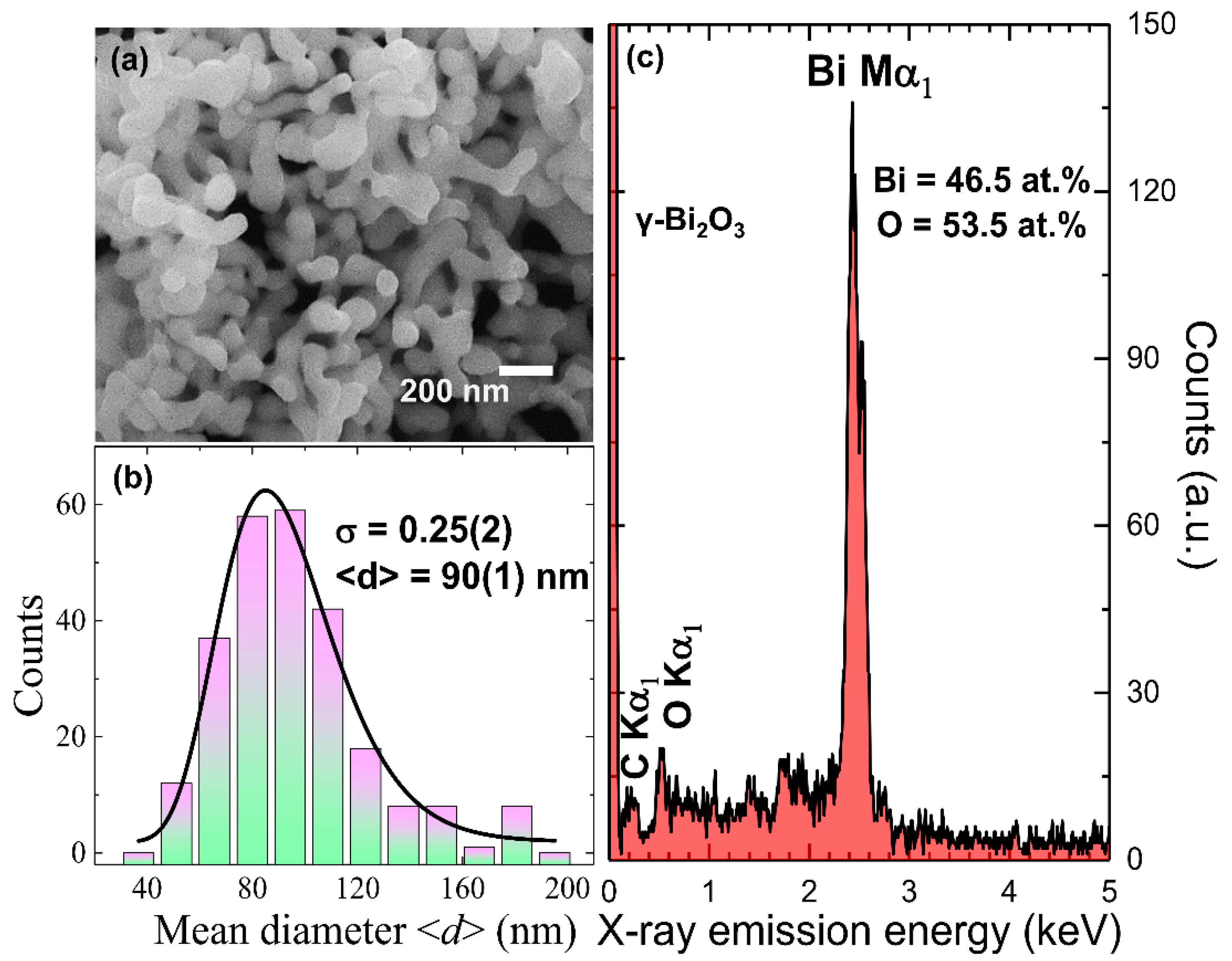 Nanomaterials 10 01023 g001