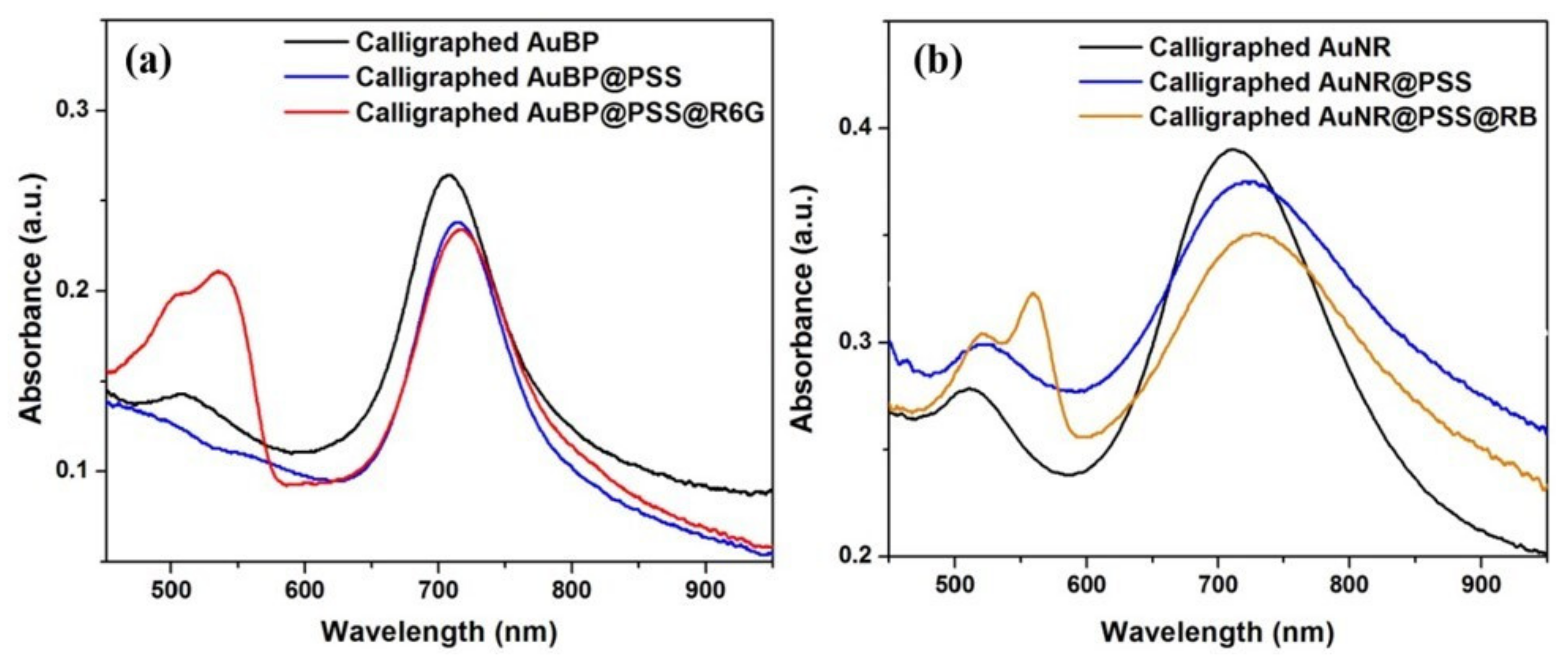 Nanomaterials 10 01025 g002