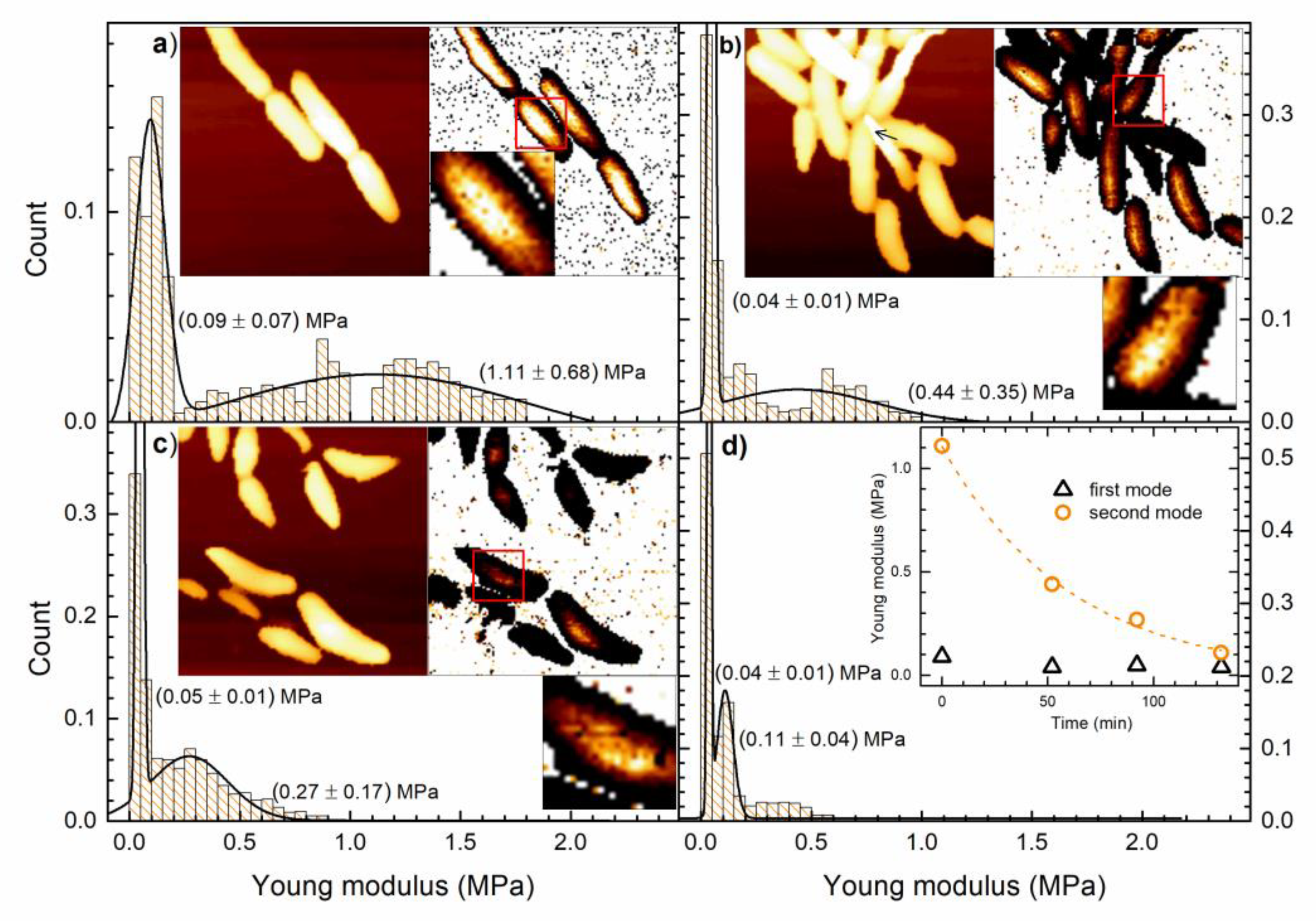 Nanomaterials 10 01040 g004