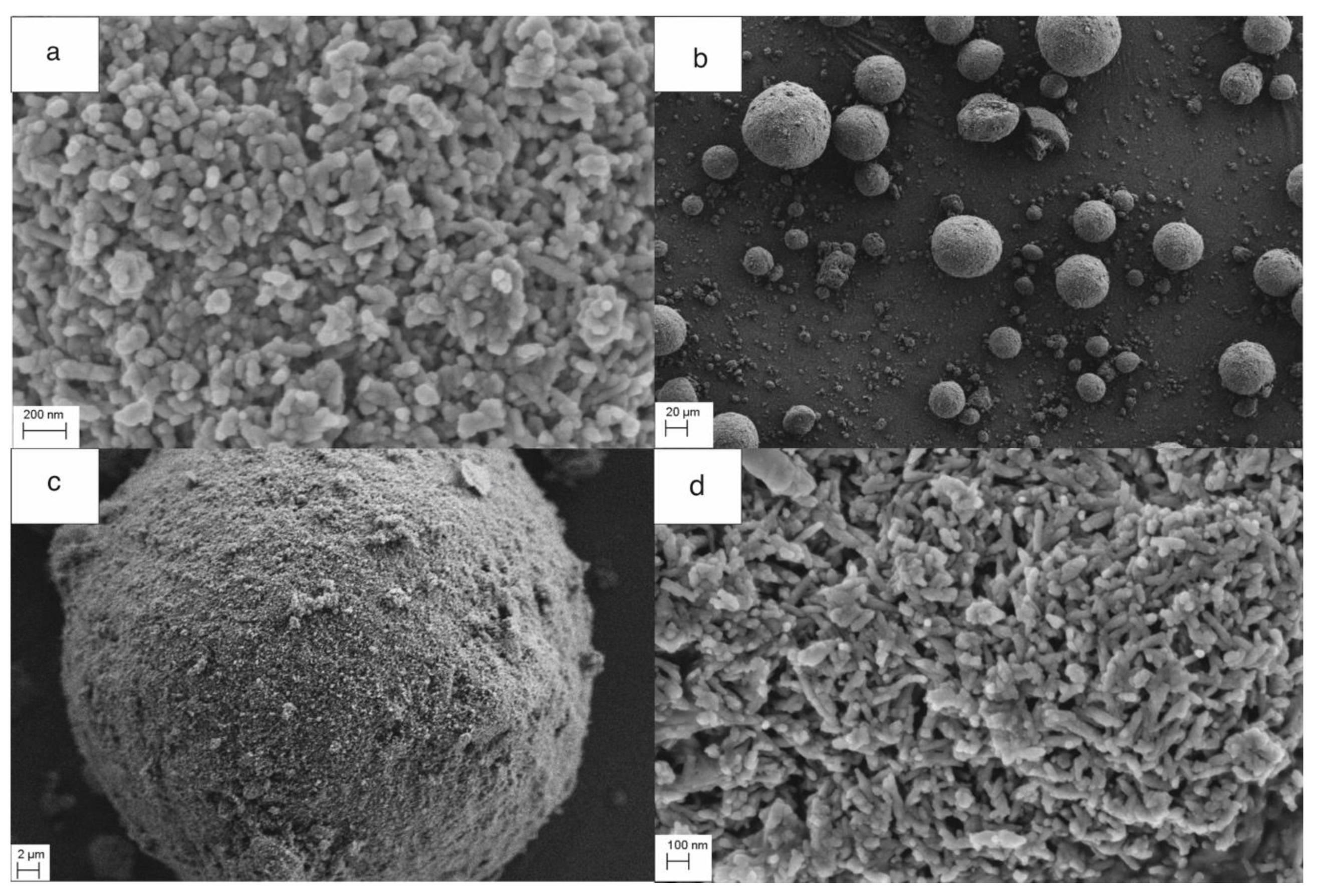 Nanomaterials 10 01060 g003