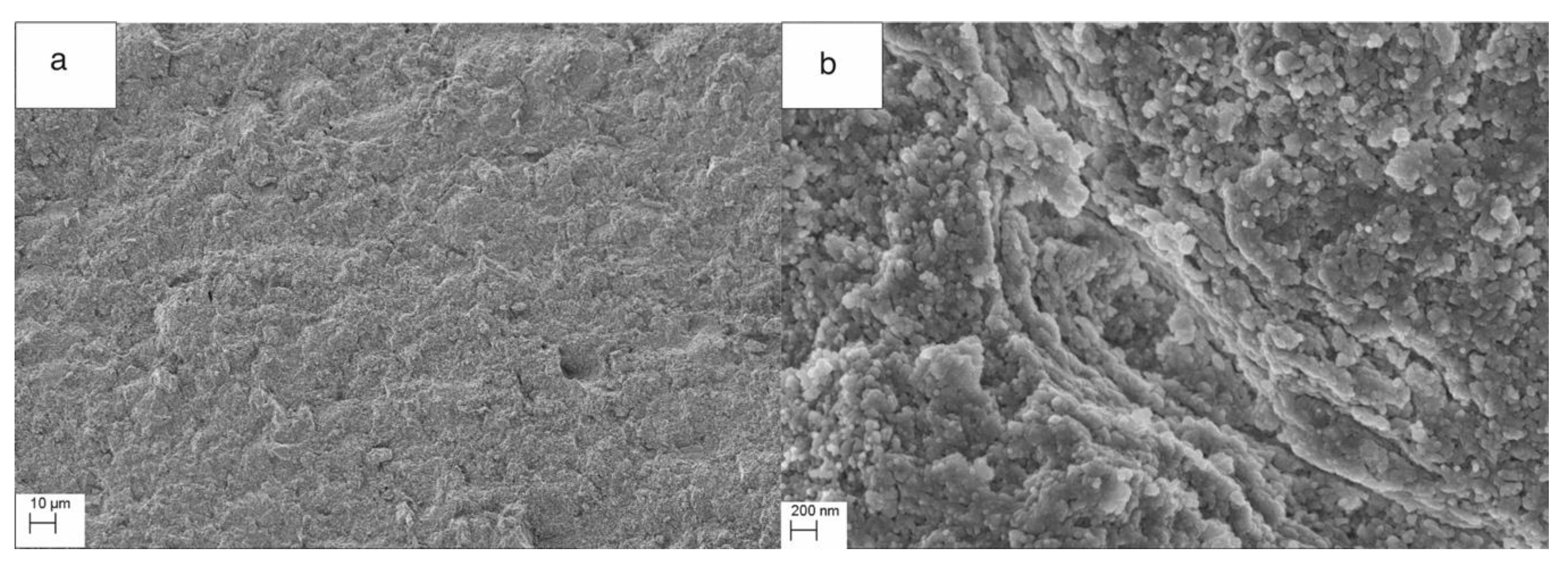 Nanomaterials 10 01060 g006