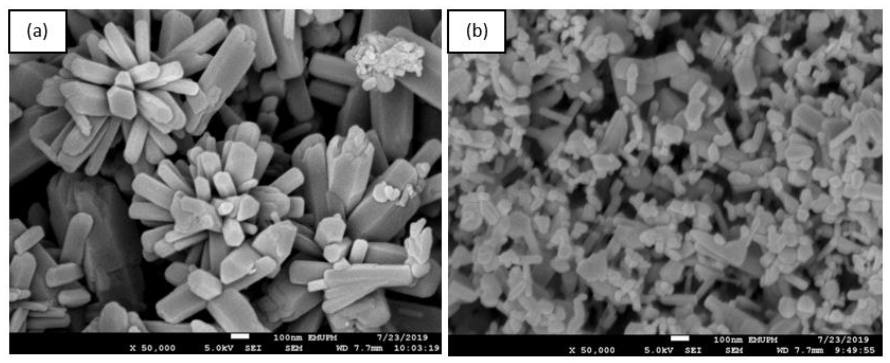 Nanomaterials 10 01061 g005