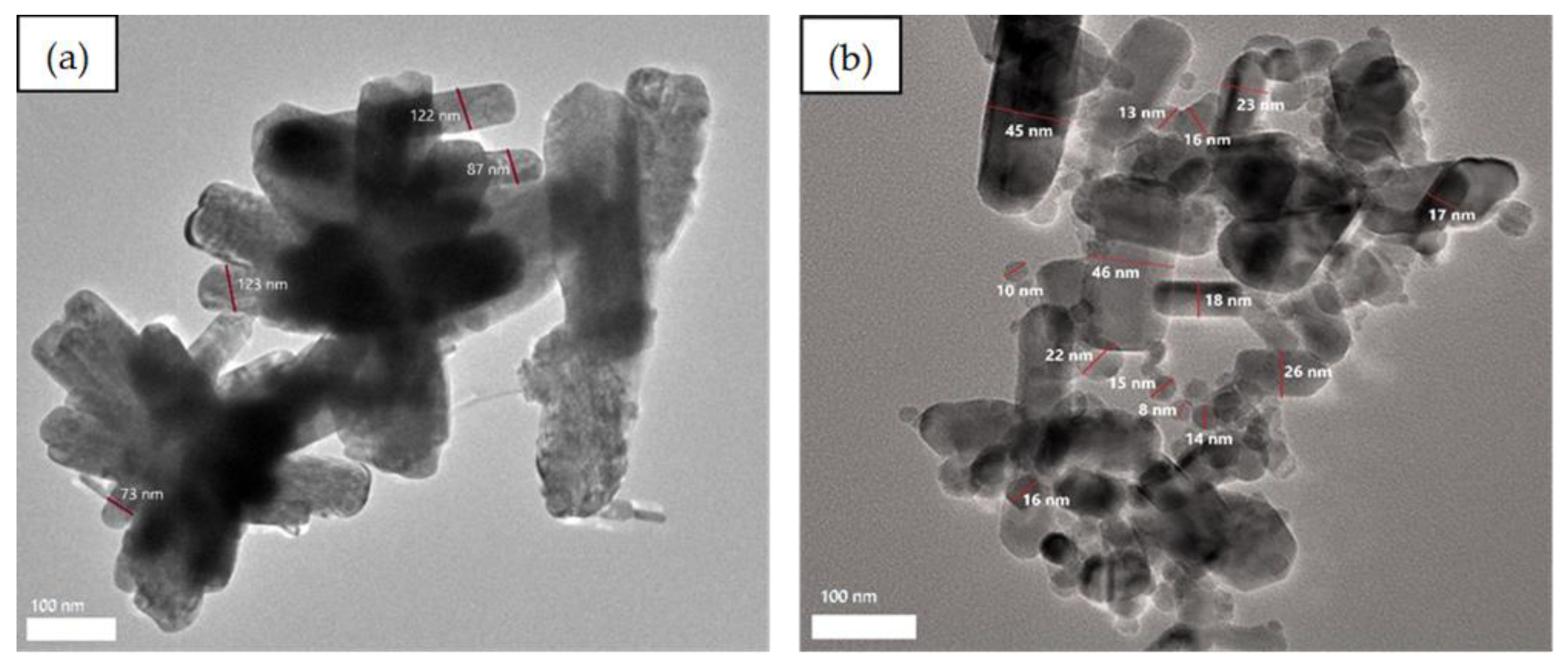 Nanomaterials 10 01061 g006