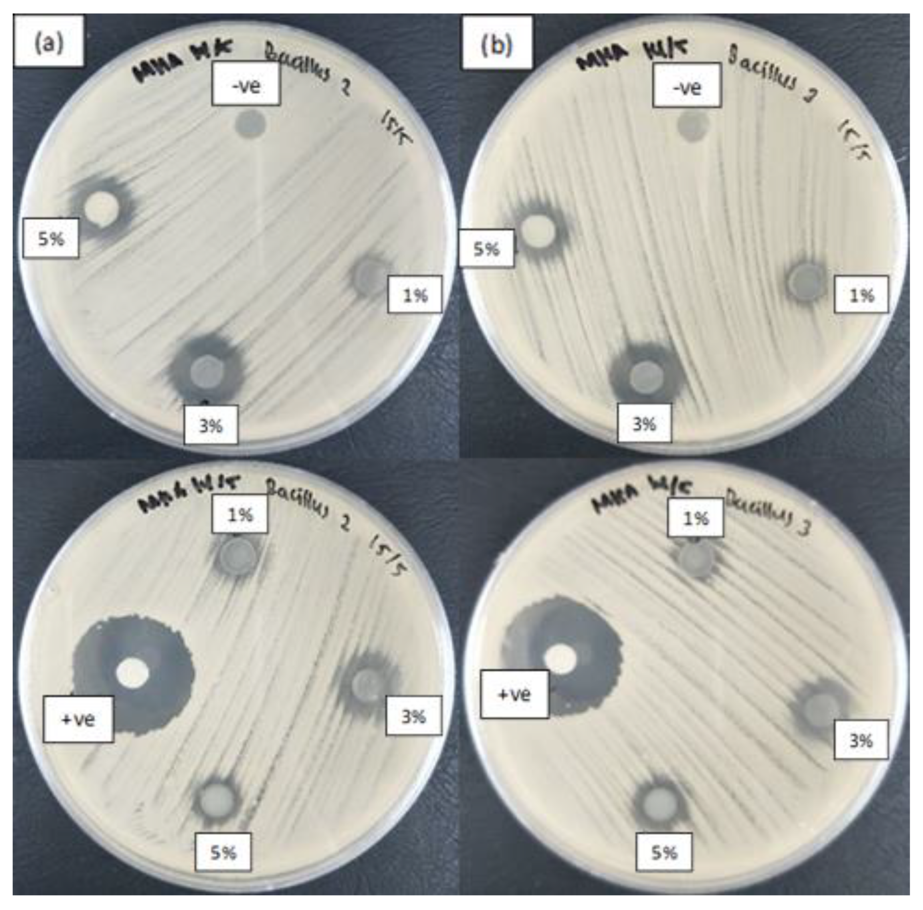 Nanomaterials 10 01061 g007