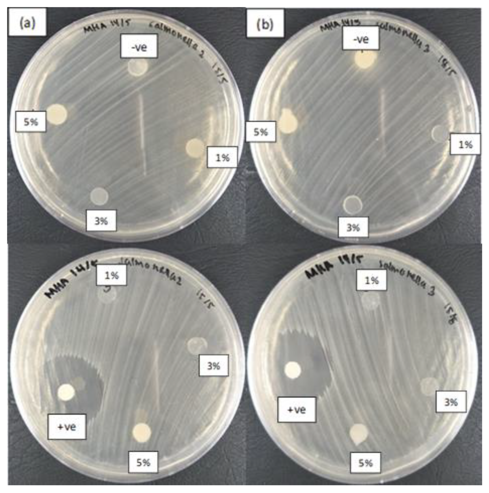 Nanomaterials 10 01061 g008