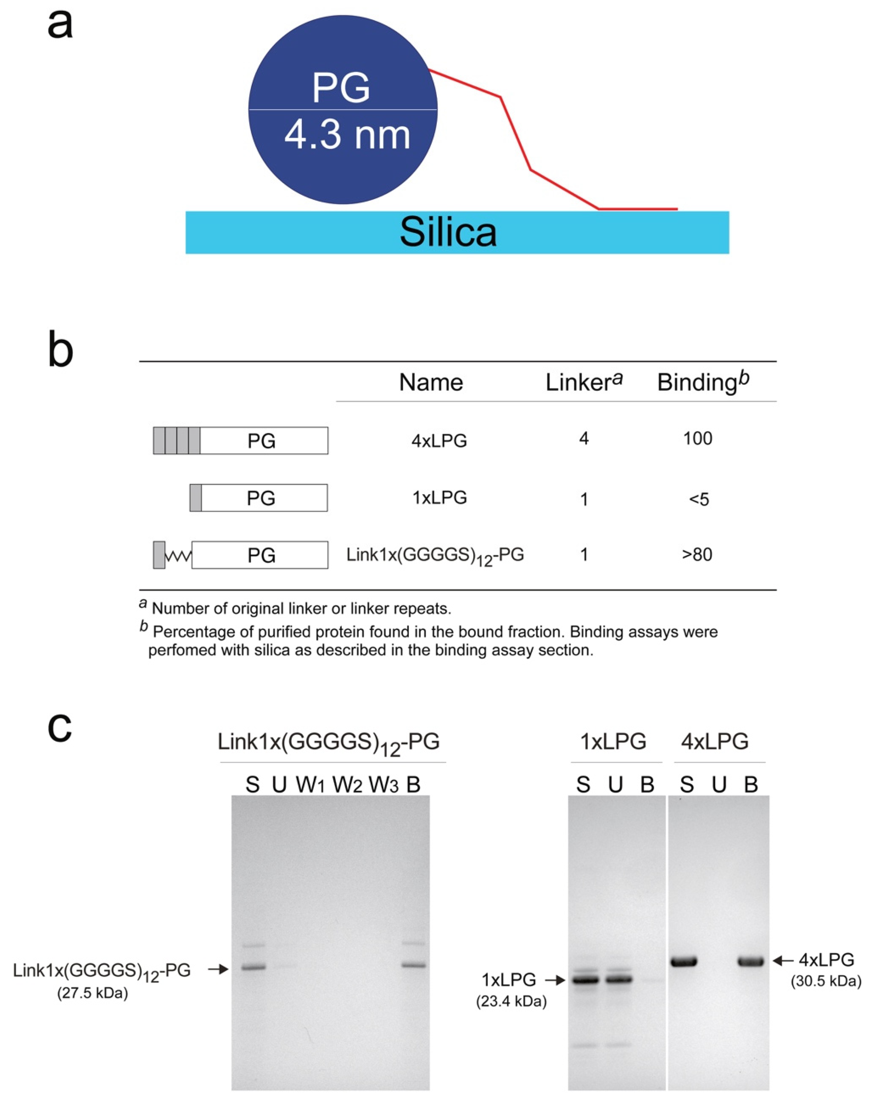 Nanomaterials 10 01070 g006