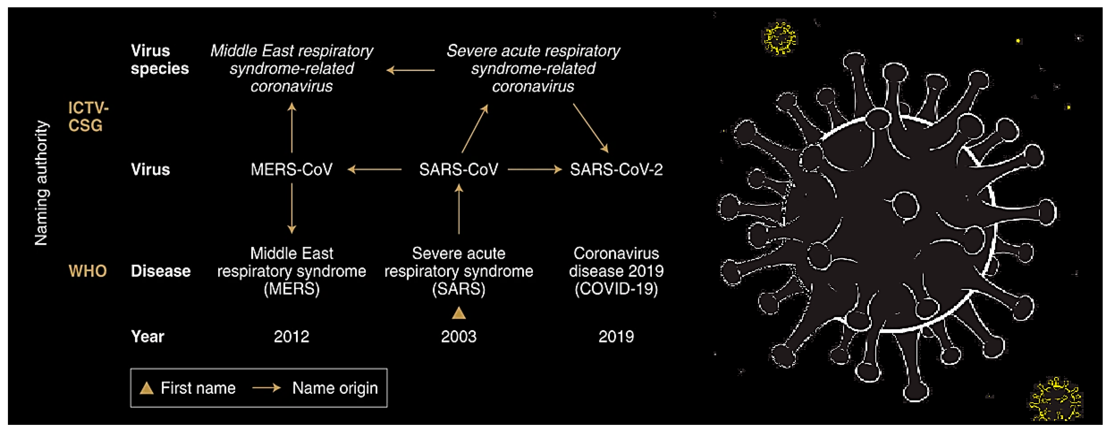 Nanomaterials 10 01072 g002