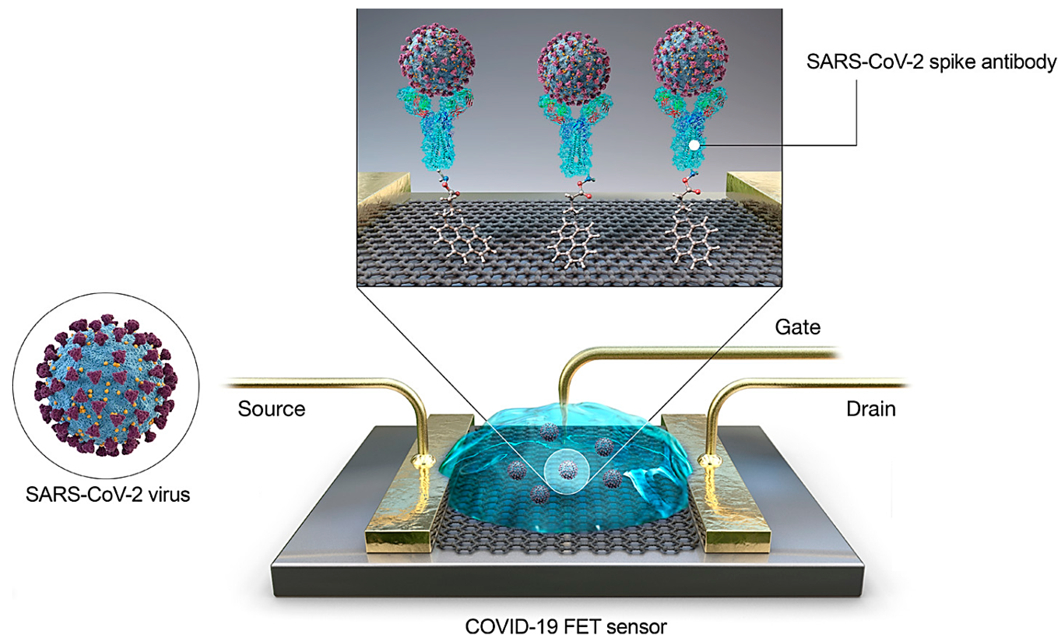 Nanomaterials 10 01072 g004
