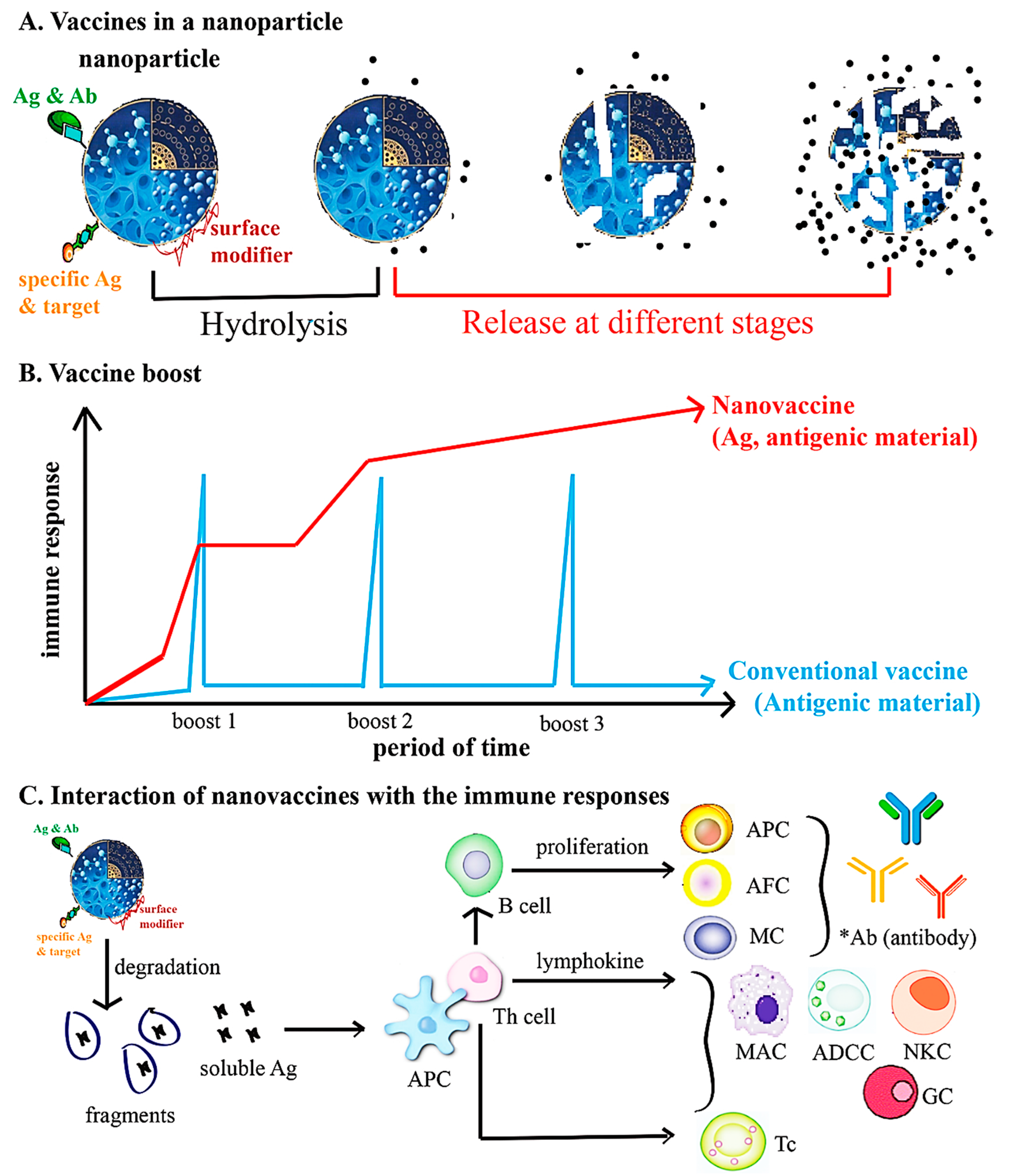 Nanomaterials 10 01072 g007