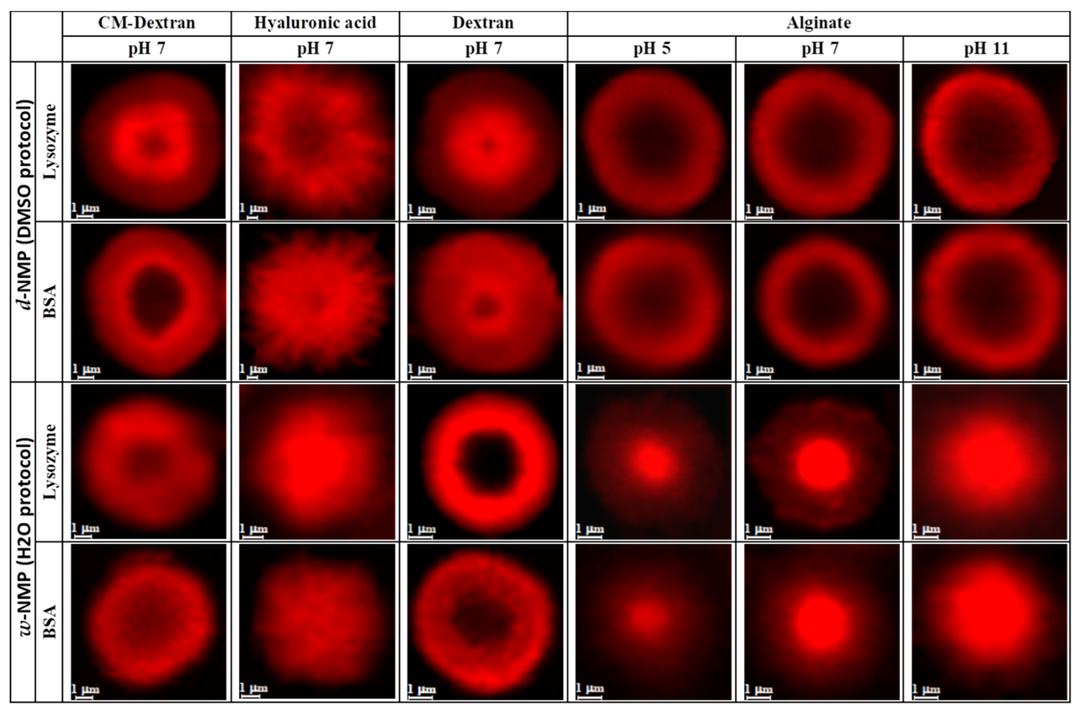 Nanomaterials 10 01075 g006
