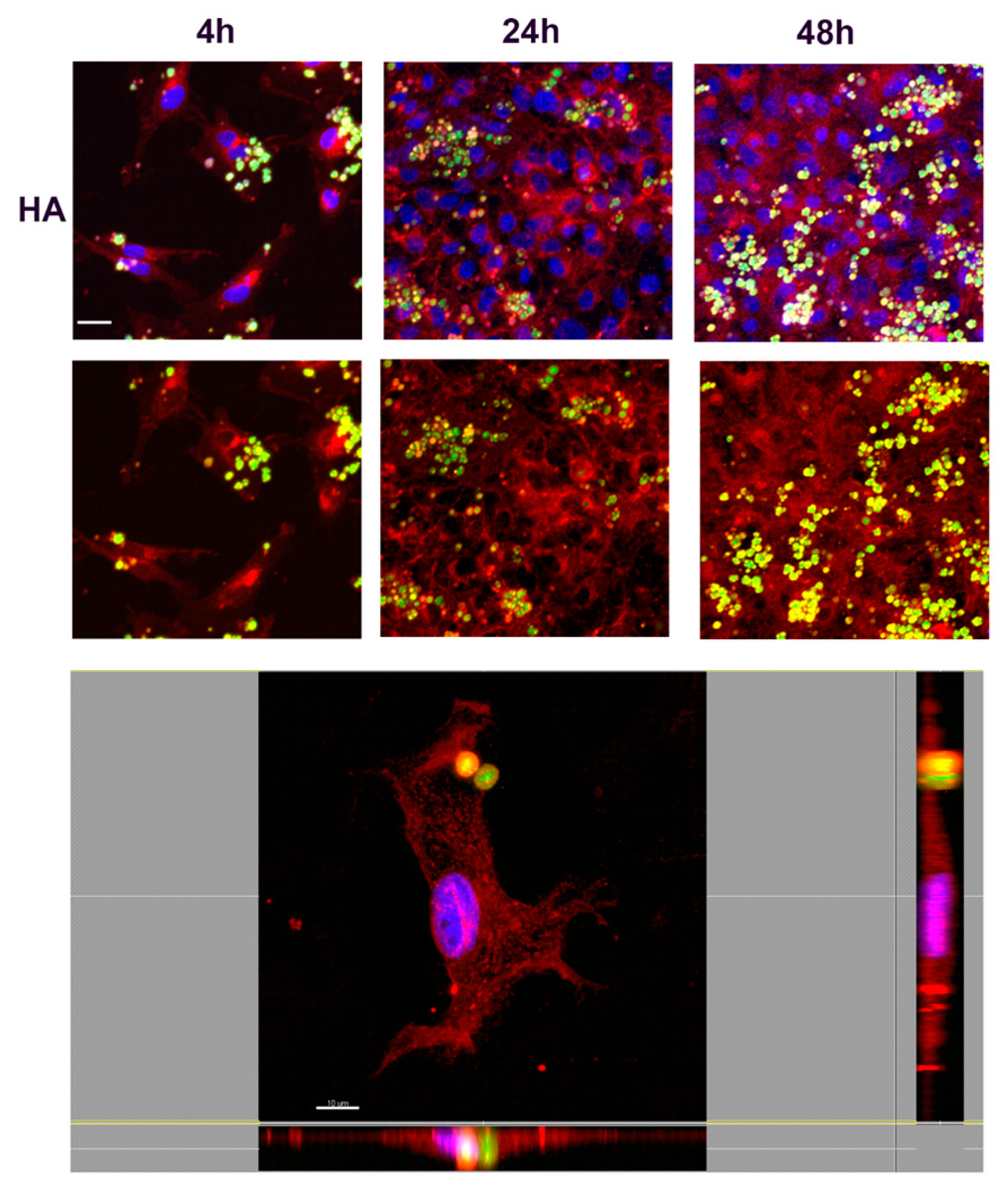 Nanomaterials 10 01075 g012