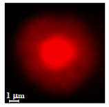 Nanomaterials 10 01075 i002