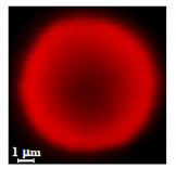 Nanomaterials 10 01075 i004