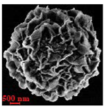 Nanomaterials 10 01075 i008