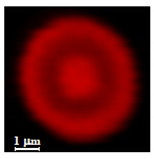 Nanomaterials 10 01075 i012
